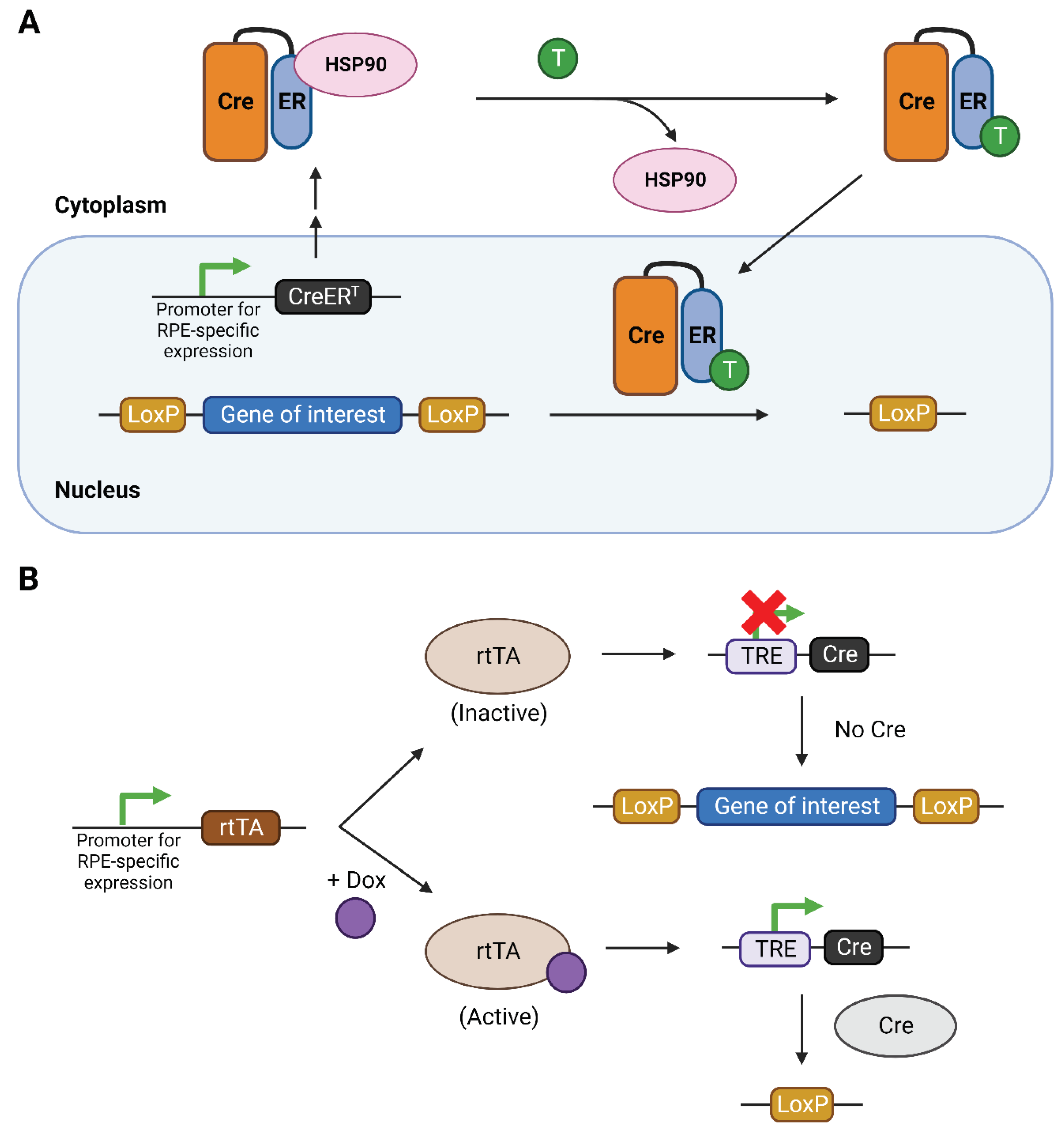 Preprints 93825 g001