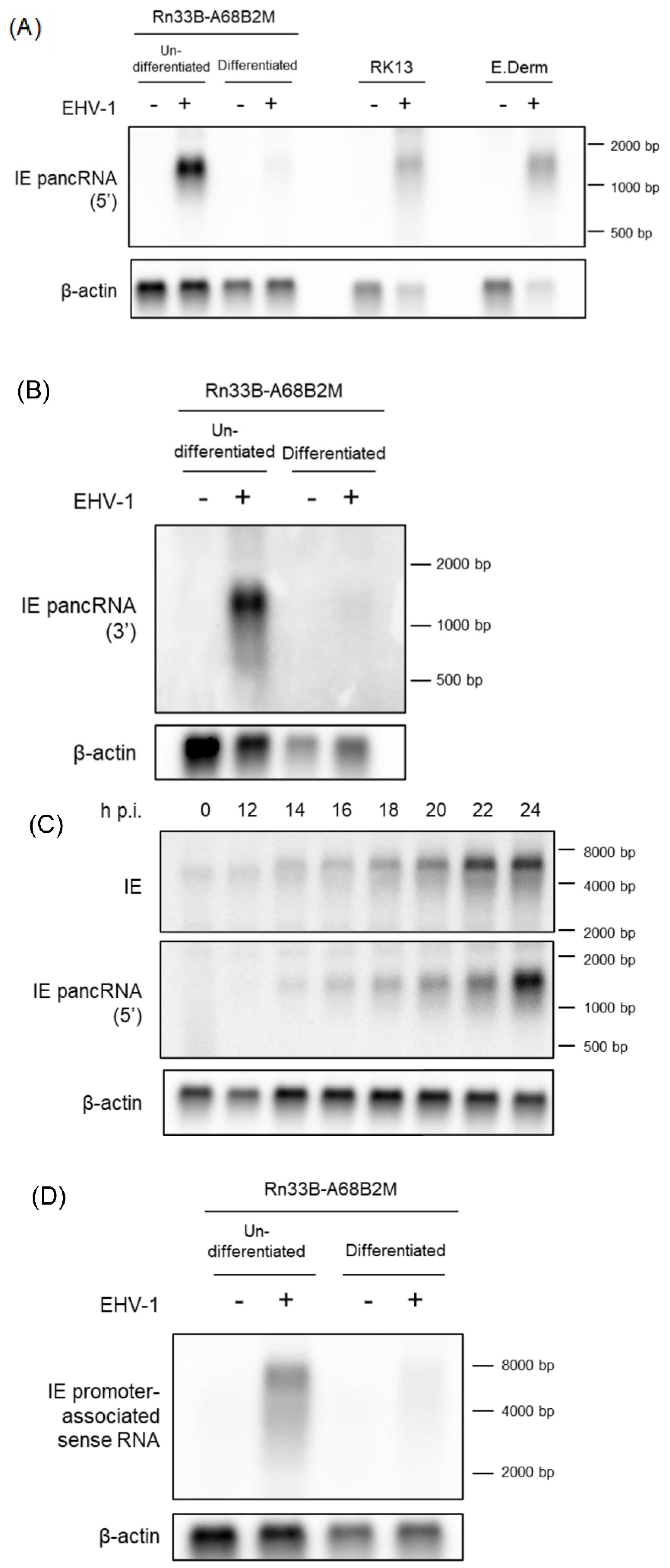 Preprints 106451 g003