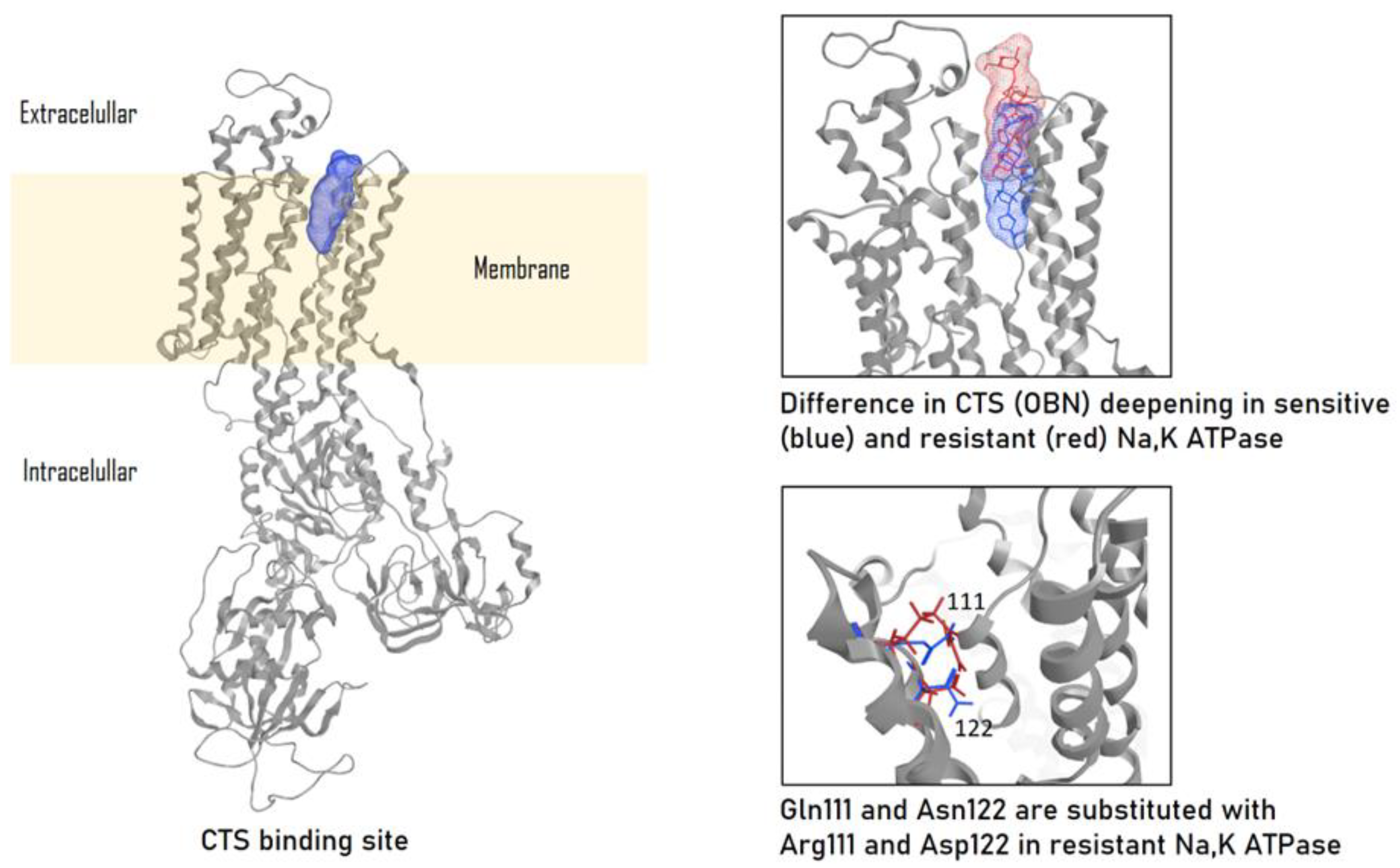 Preprints 93138 g002