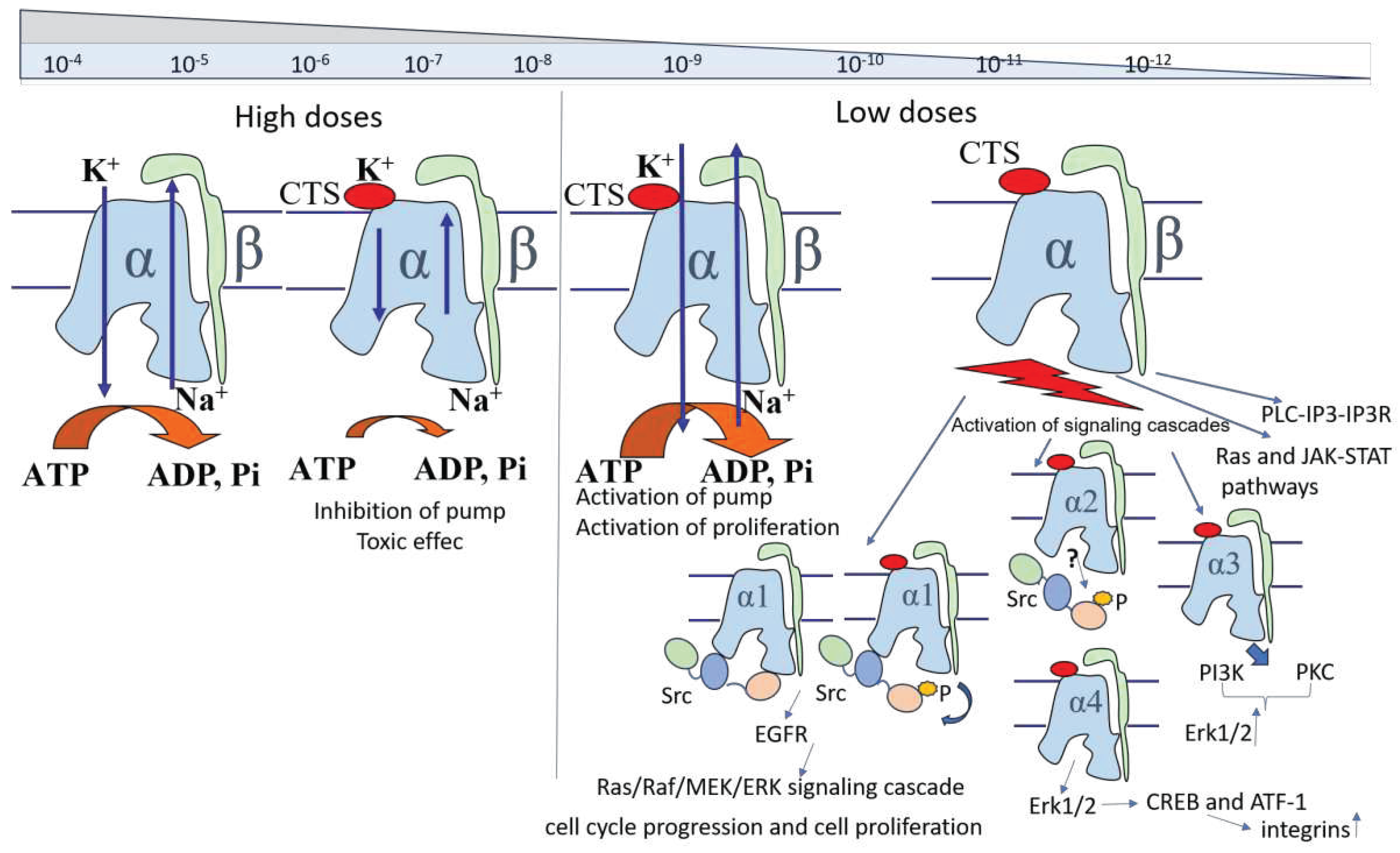 Preprints 93138 g003