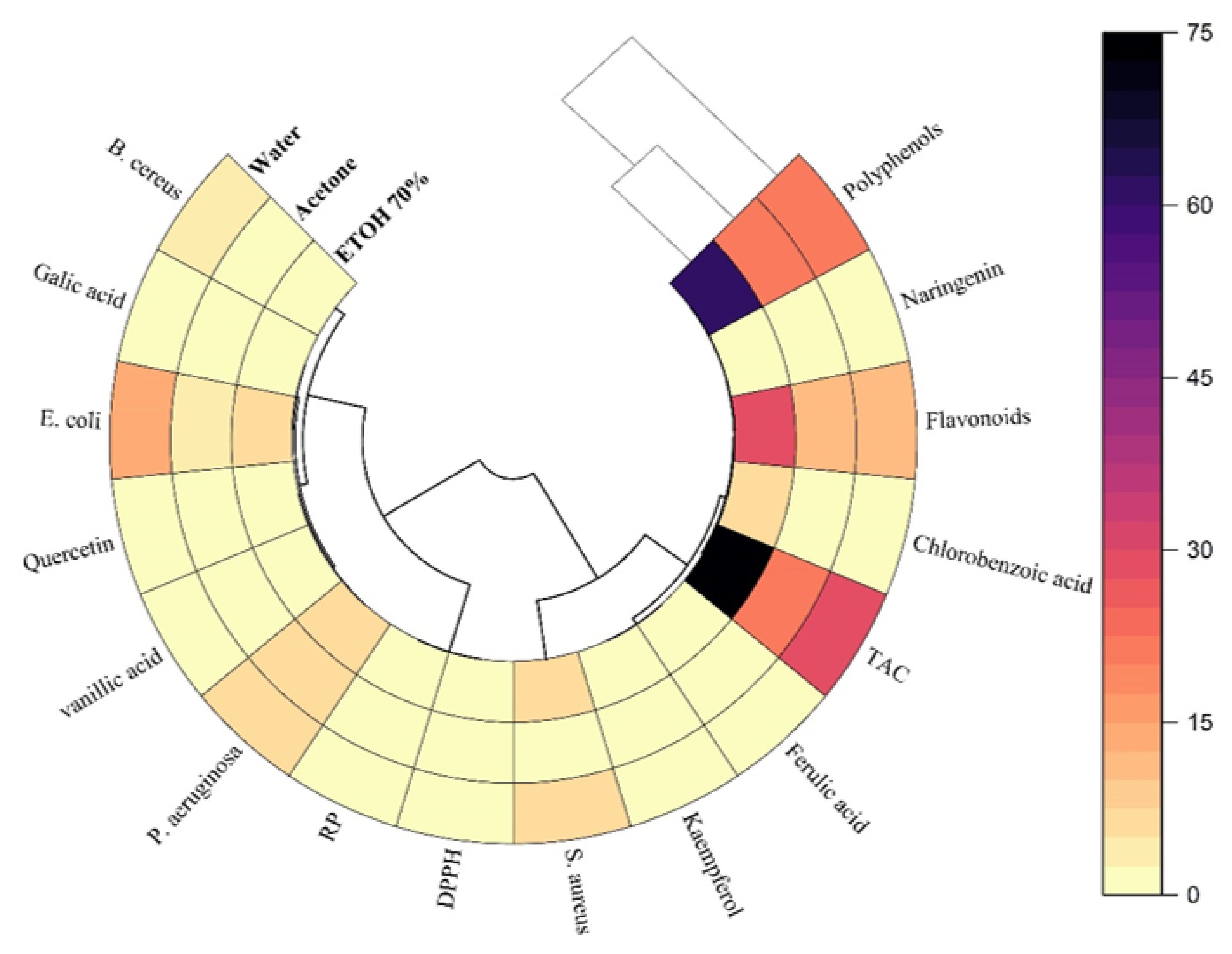 Preprints 111697 g009