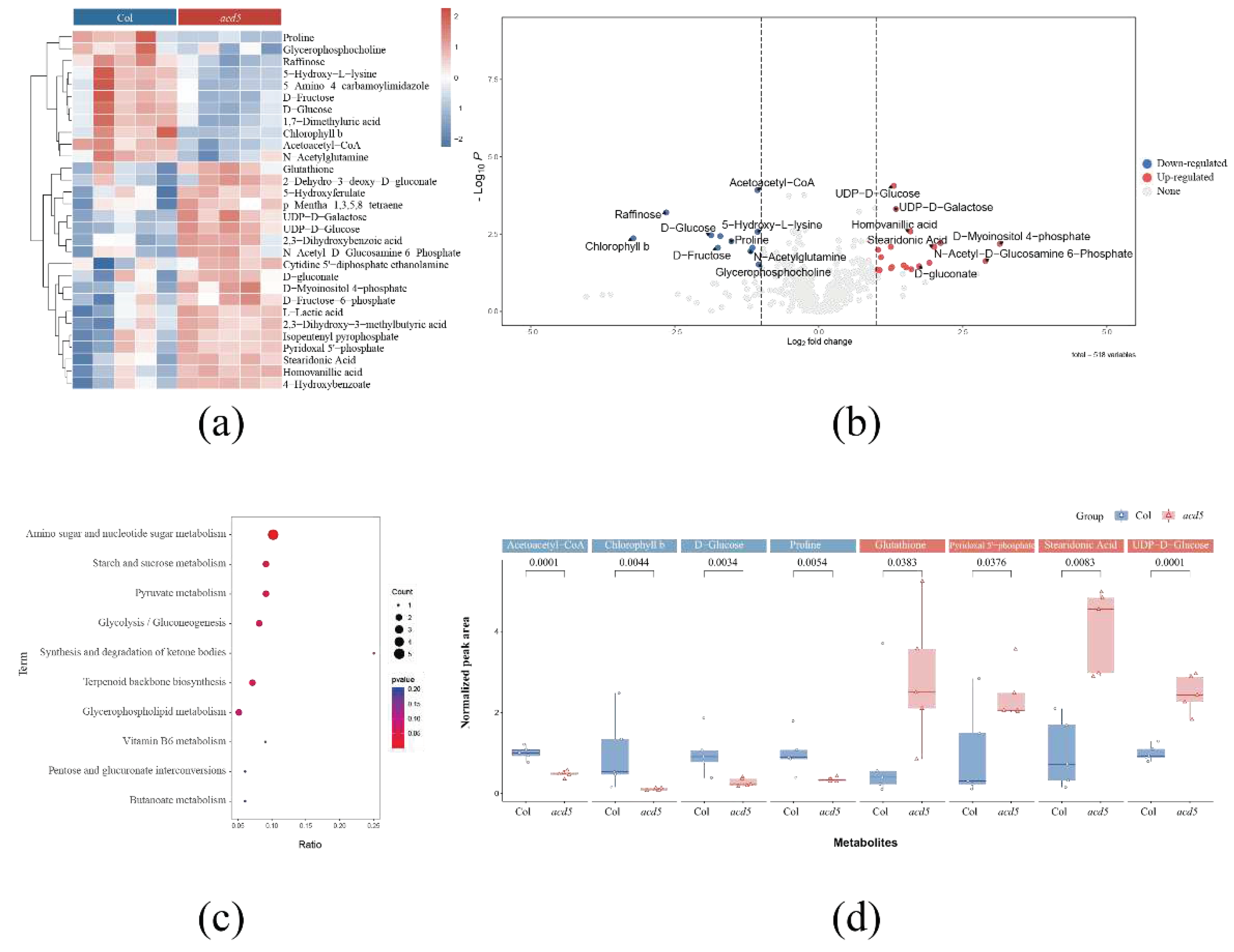 Preprints 78568 g003