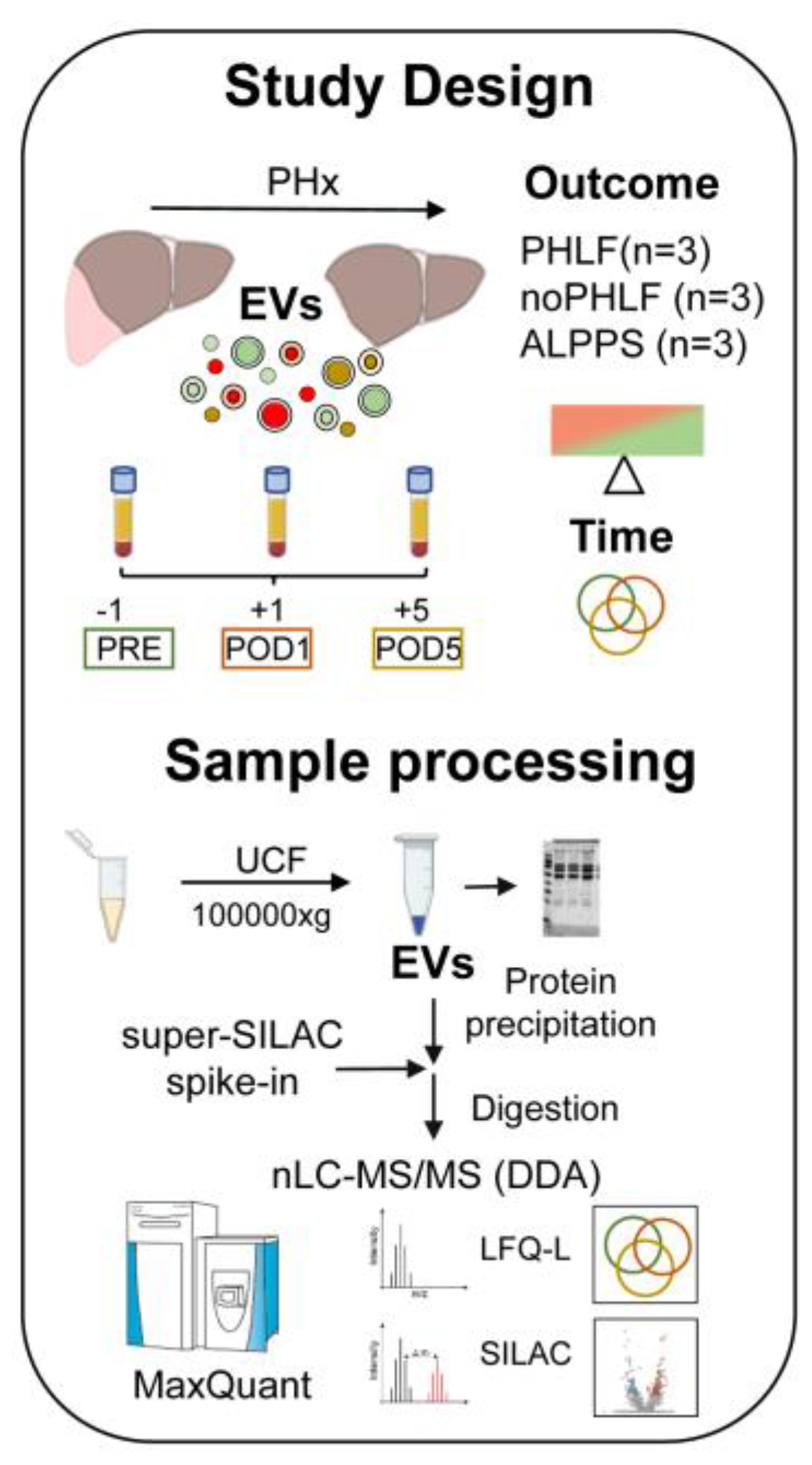 Preprints 116669 g001