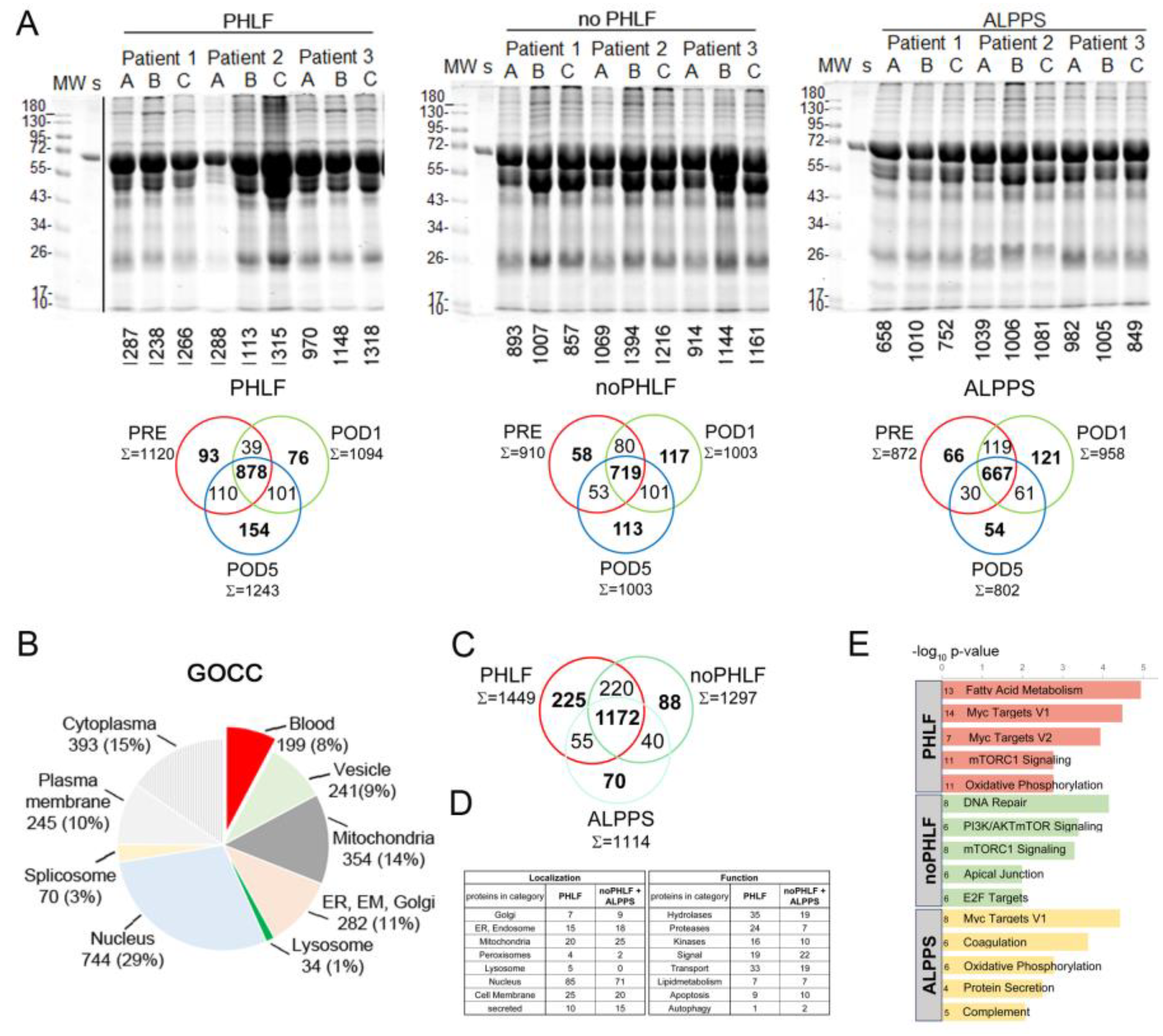 Preprints 116669 g002