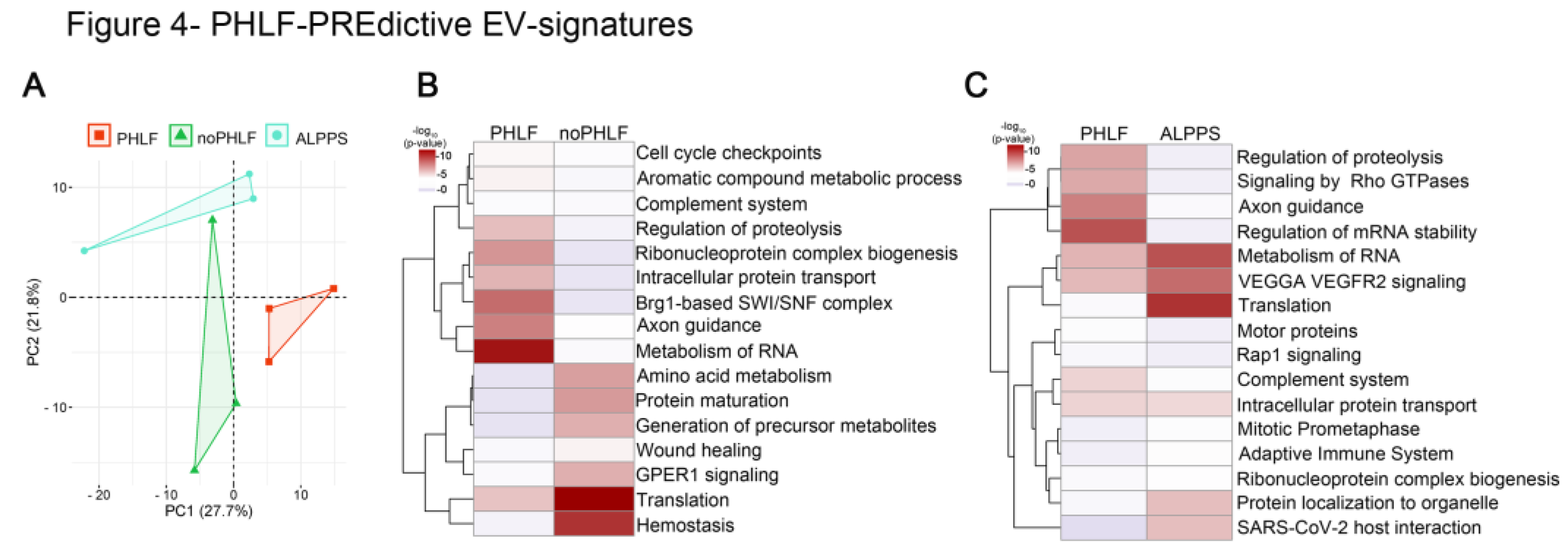 Preprints 116669 g004