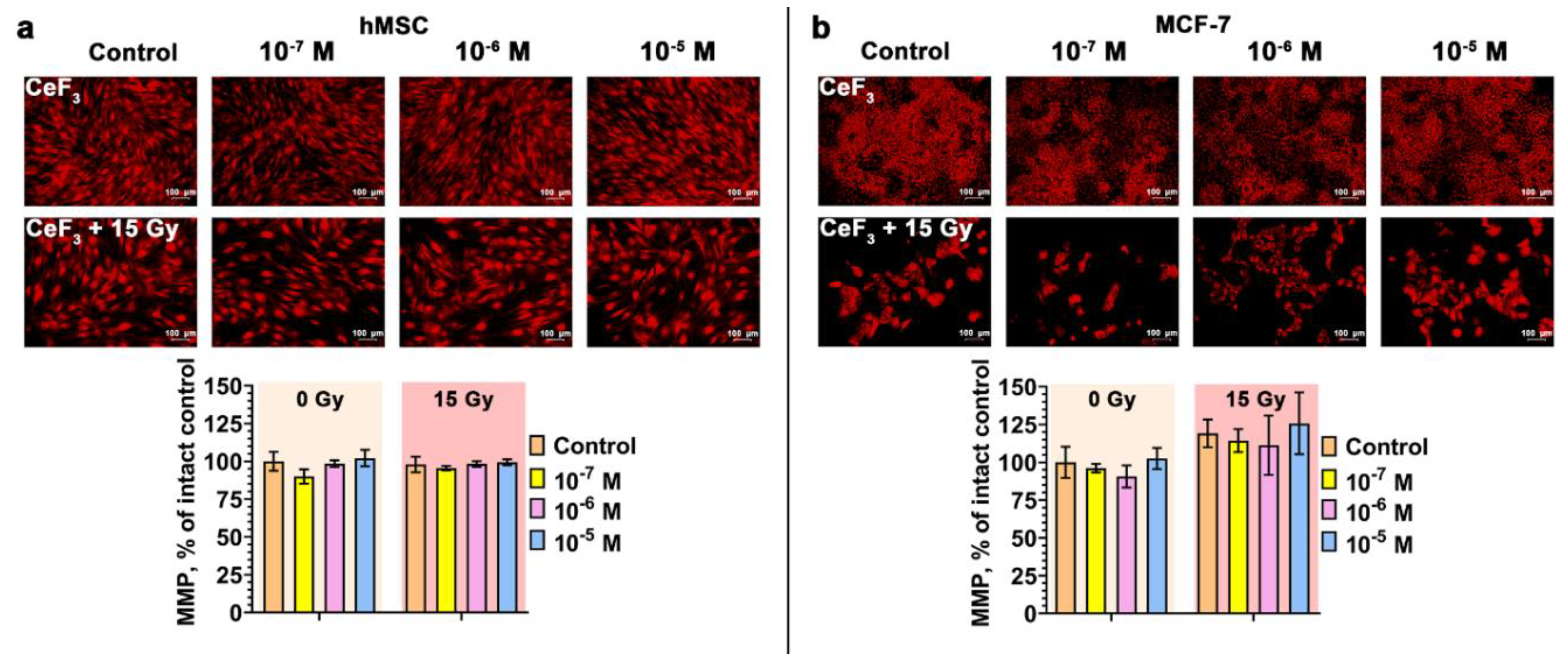 Preprints 92407 g003