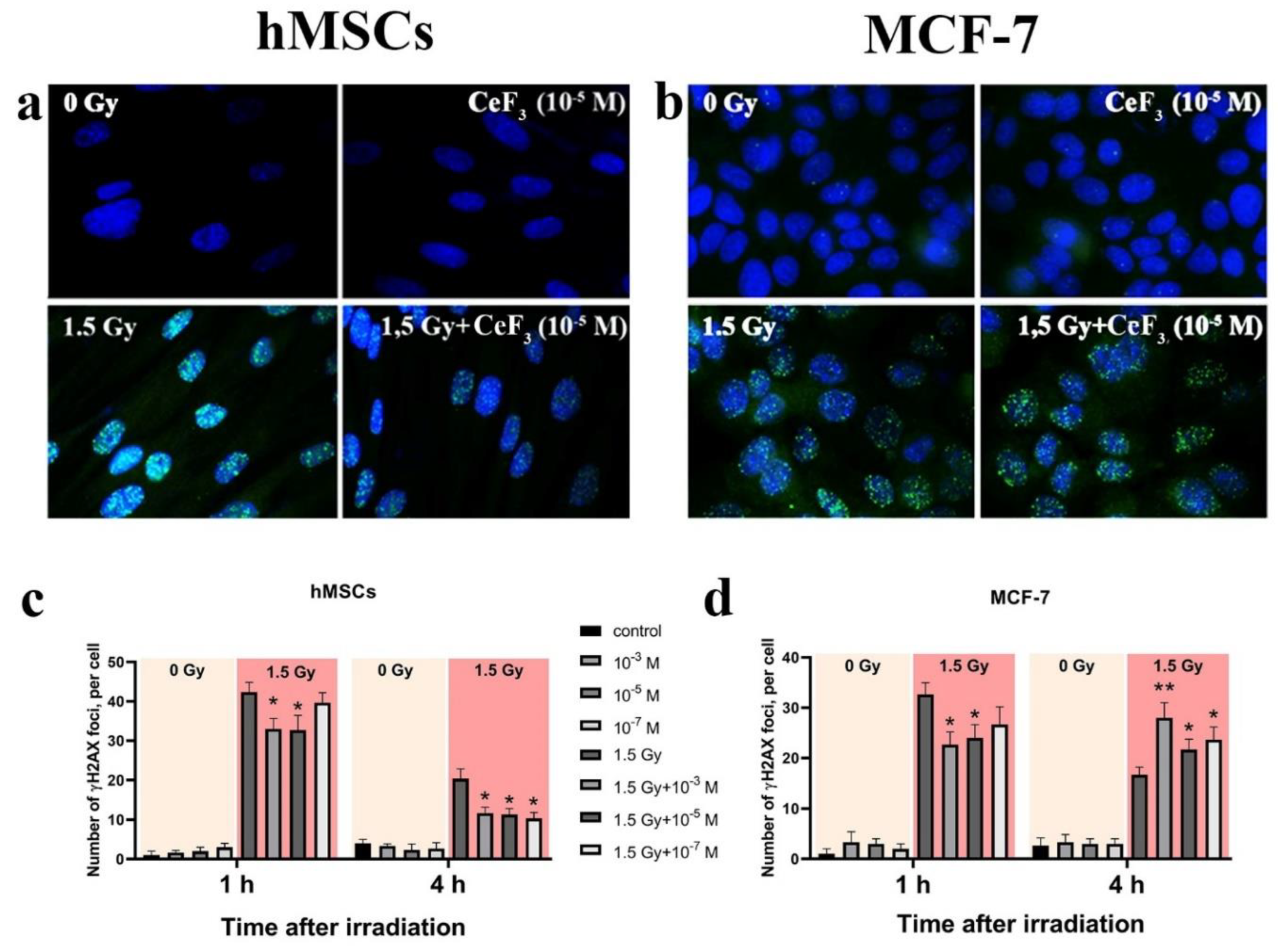 Preprints 92407 g004