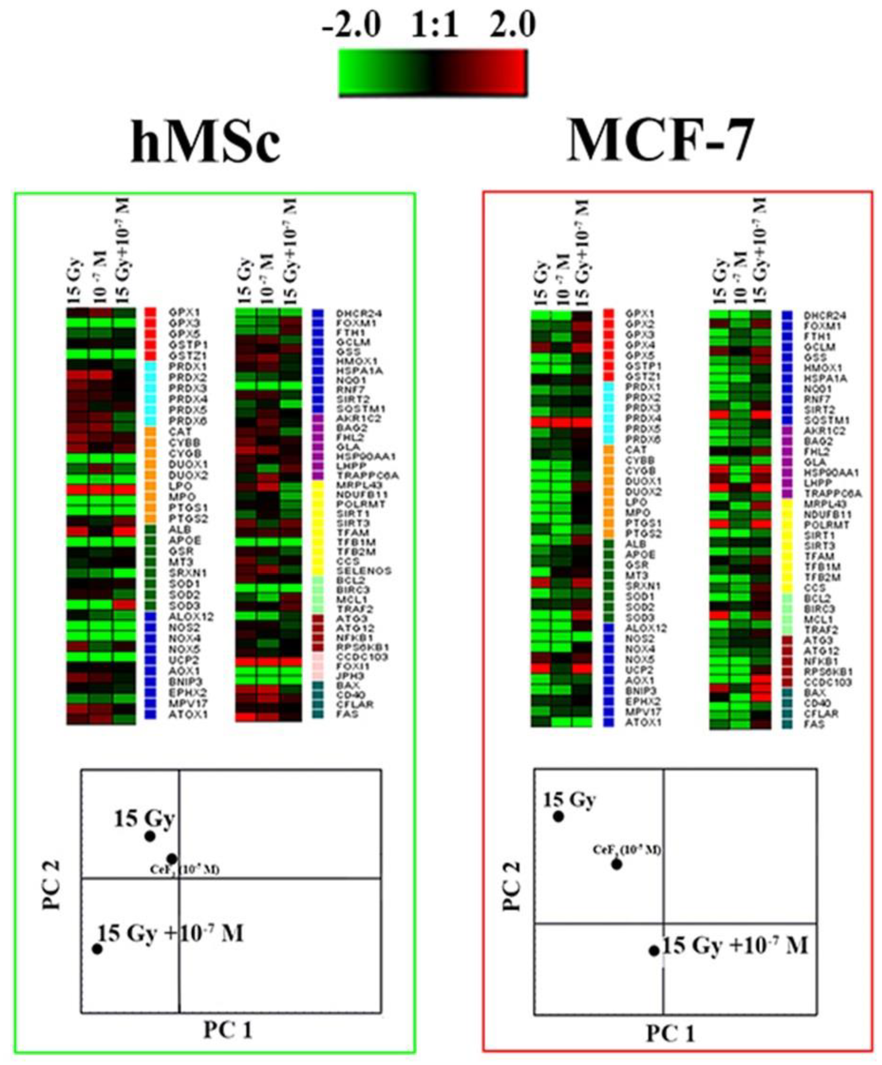 Preprints 92407 g005