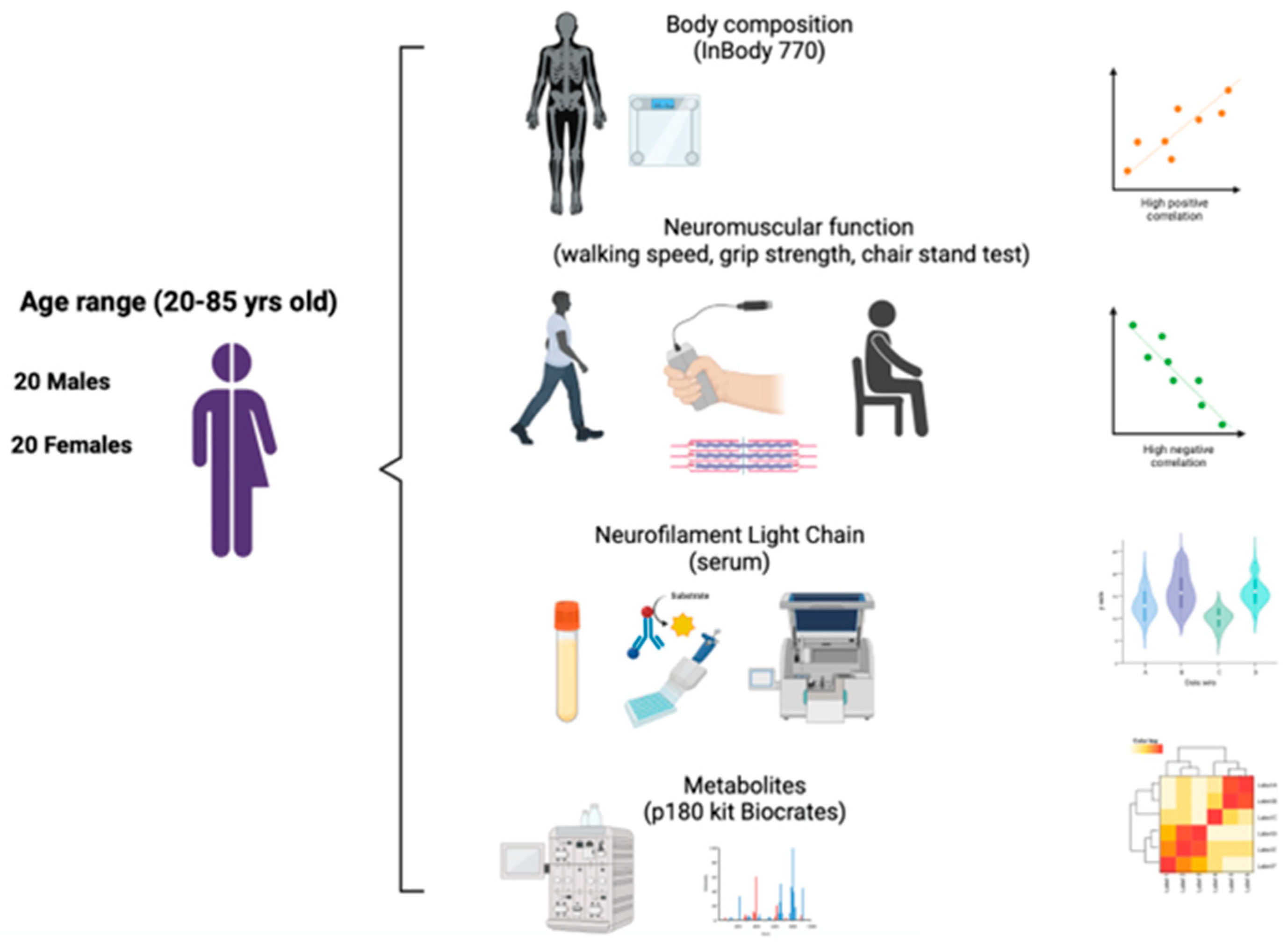 Preprints 79748 g001