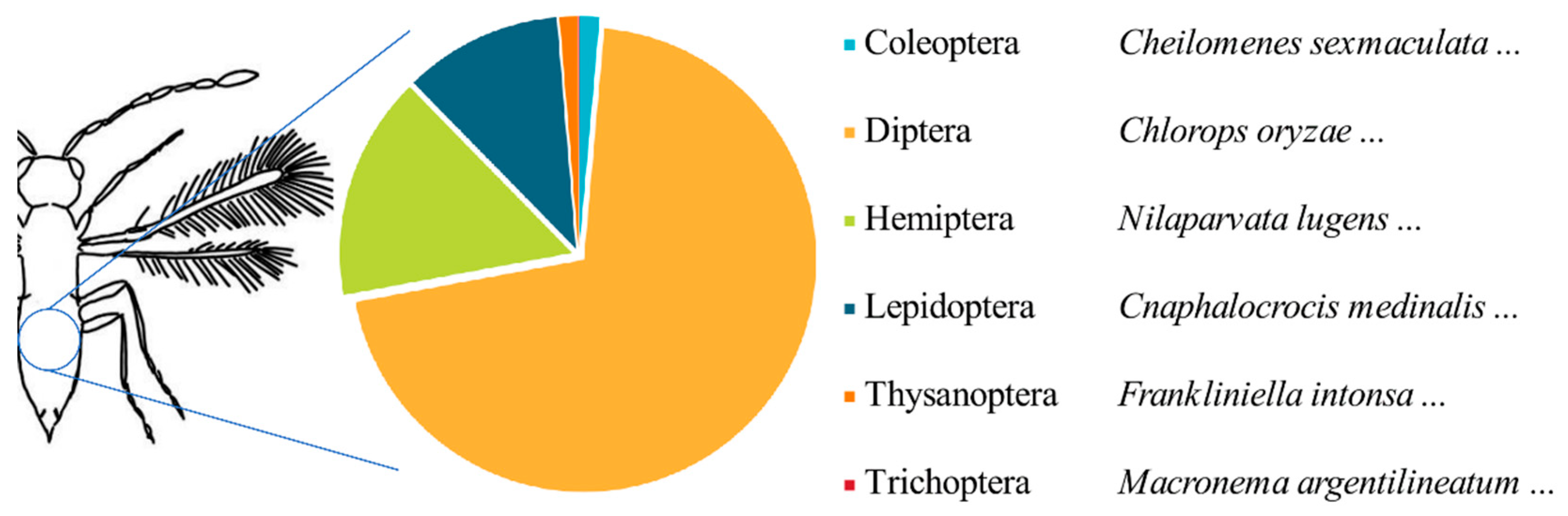 Preprints 97641 g007