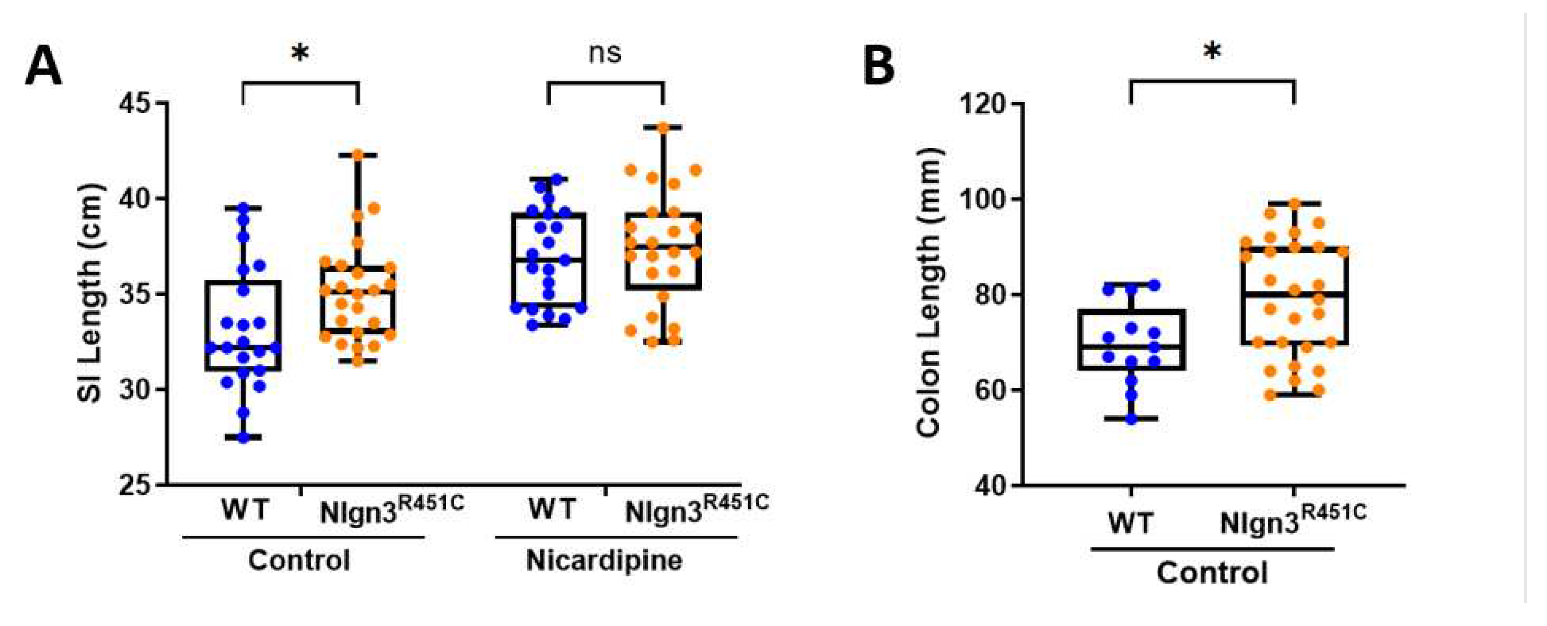 Preprints 86698 g002