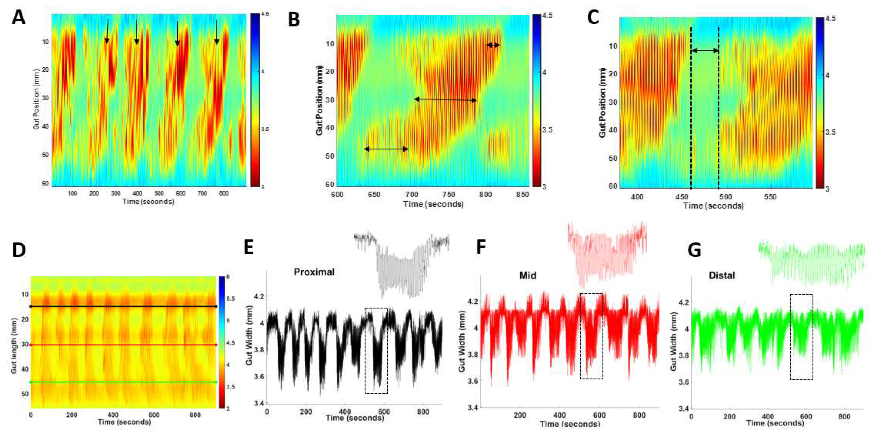 Preprints 86698 g007