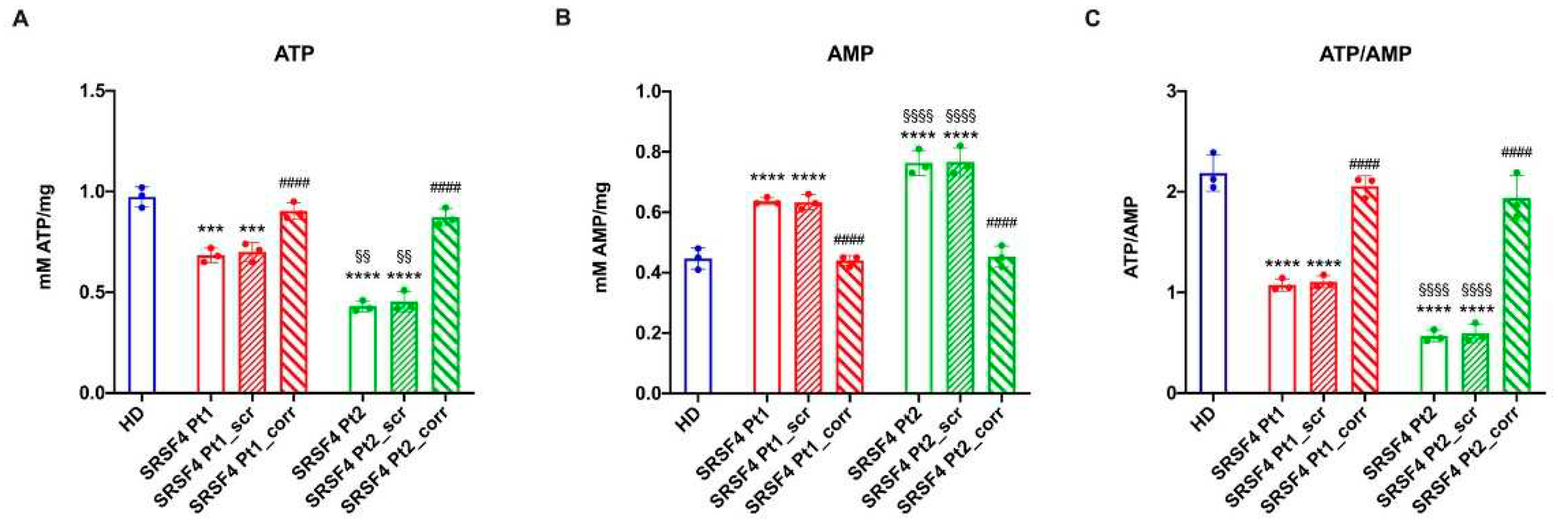 Preprints 93204 g001