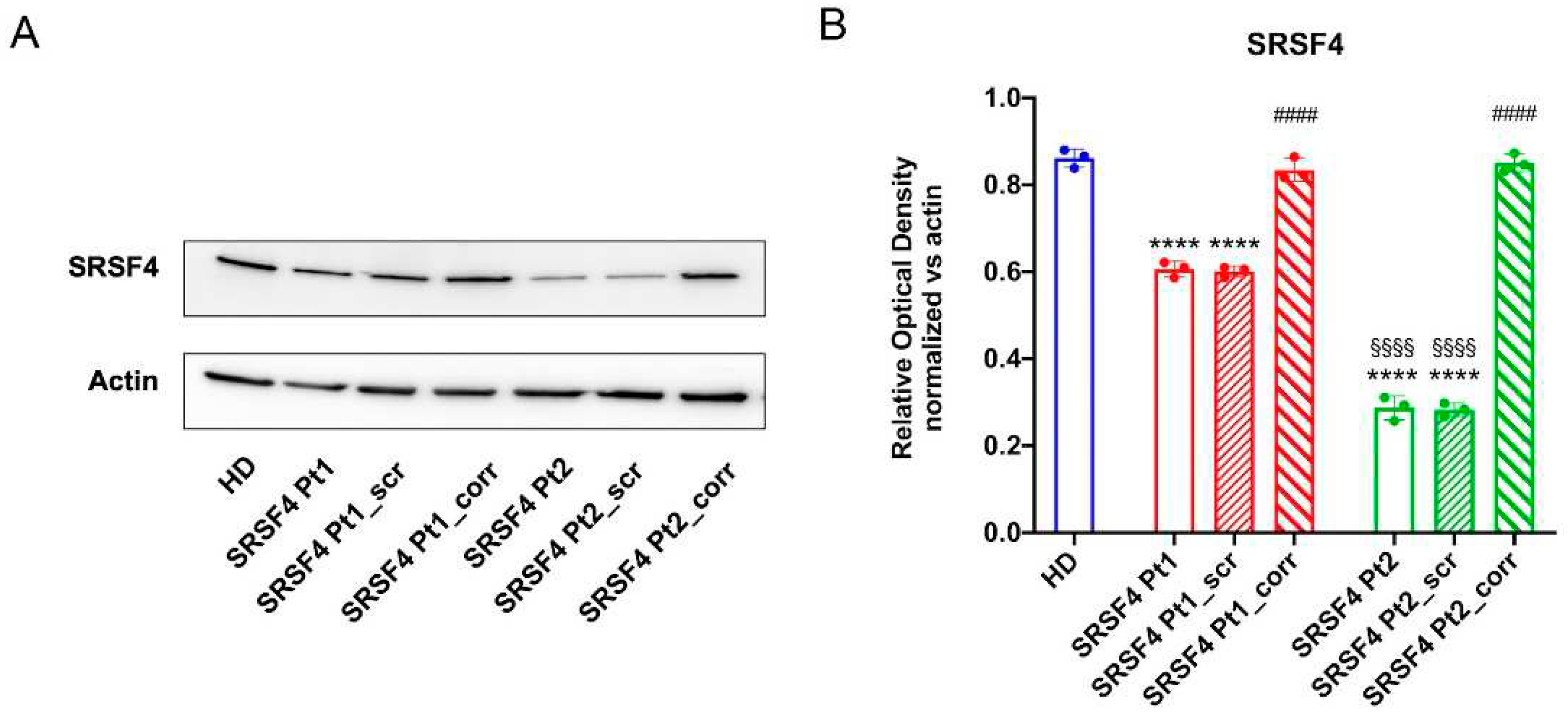 Preprints 93204 g002