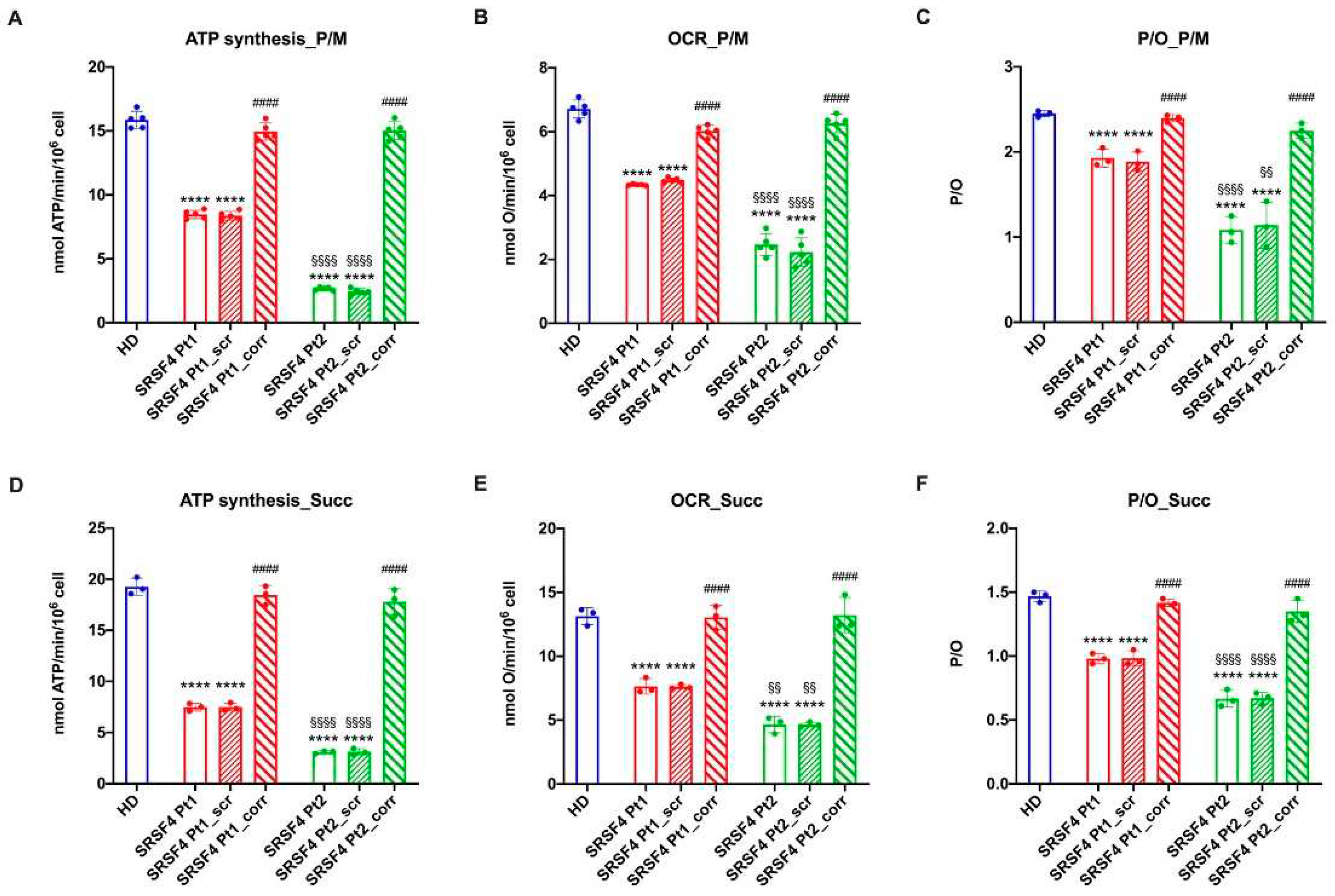 Preprints 93204 g003