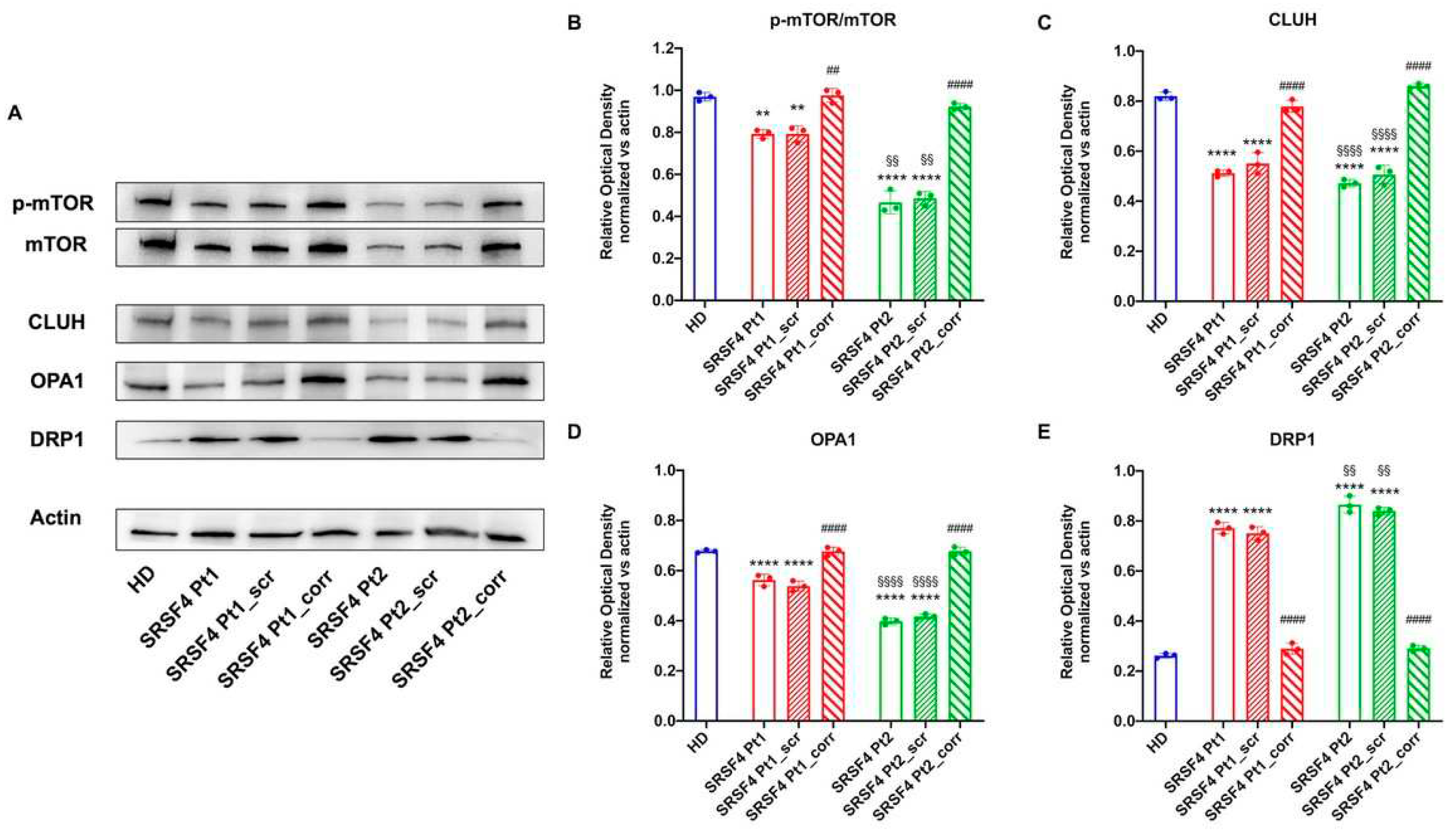 Preprints 93204 g006