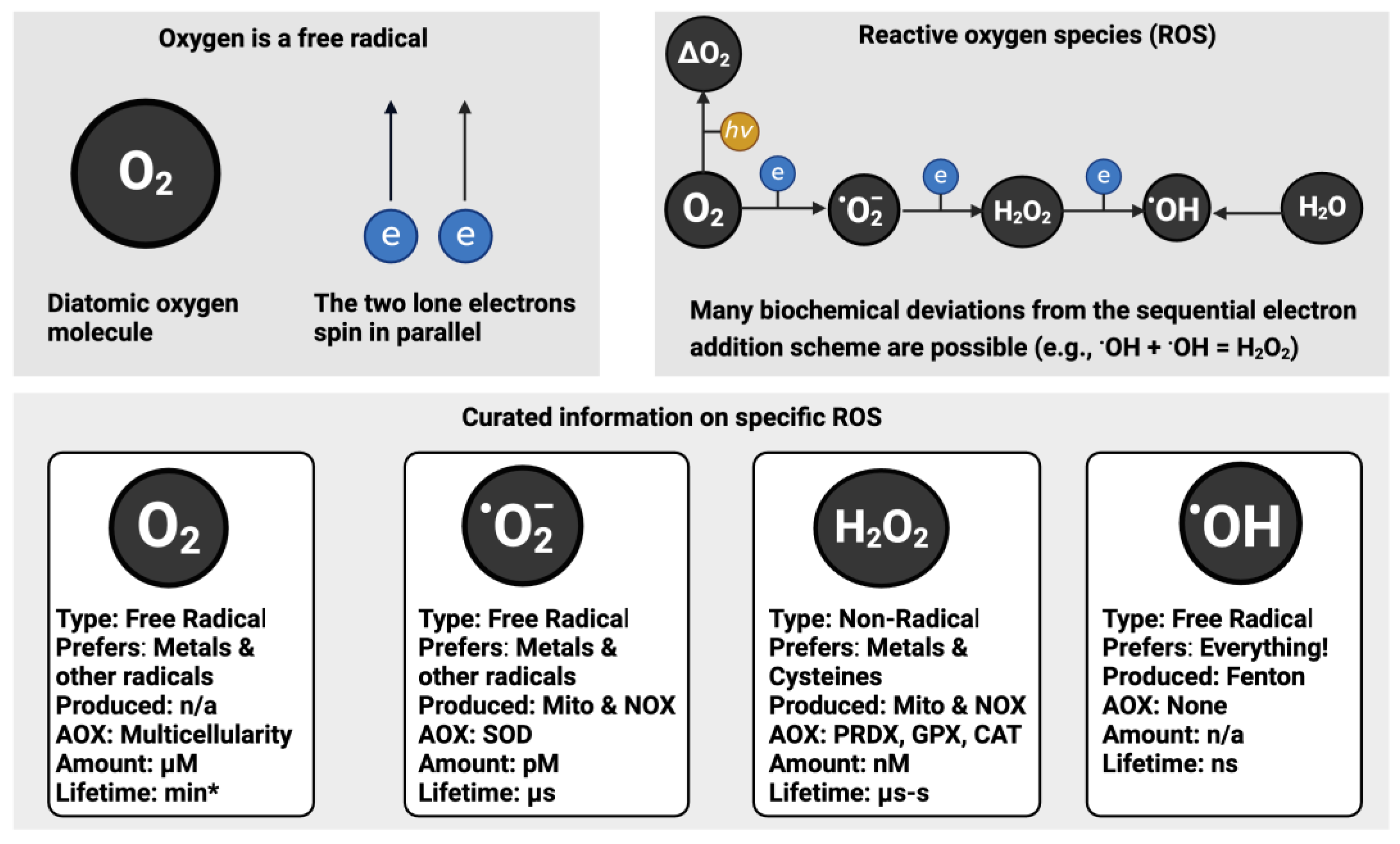 Preprints 106099 g001