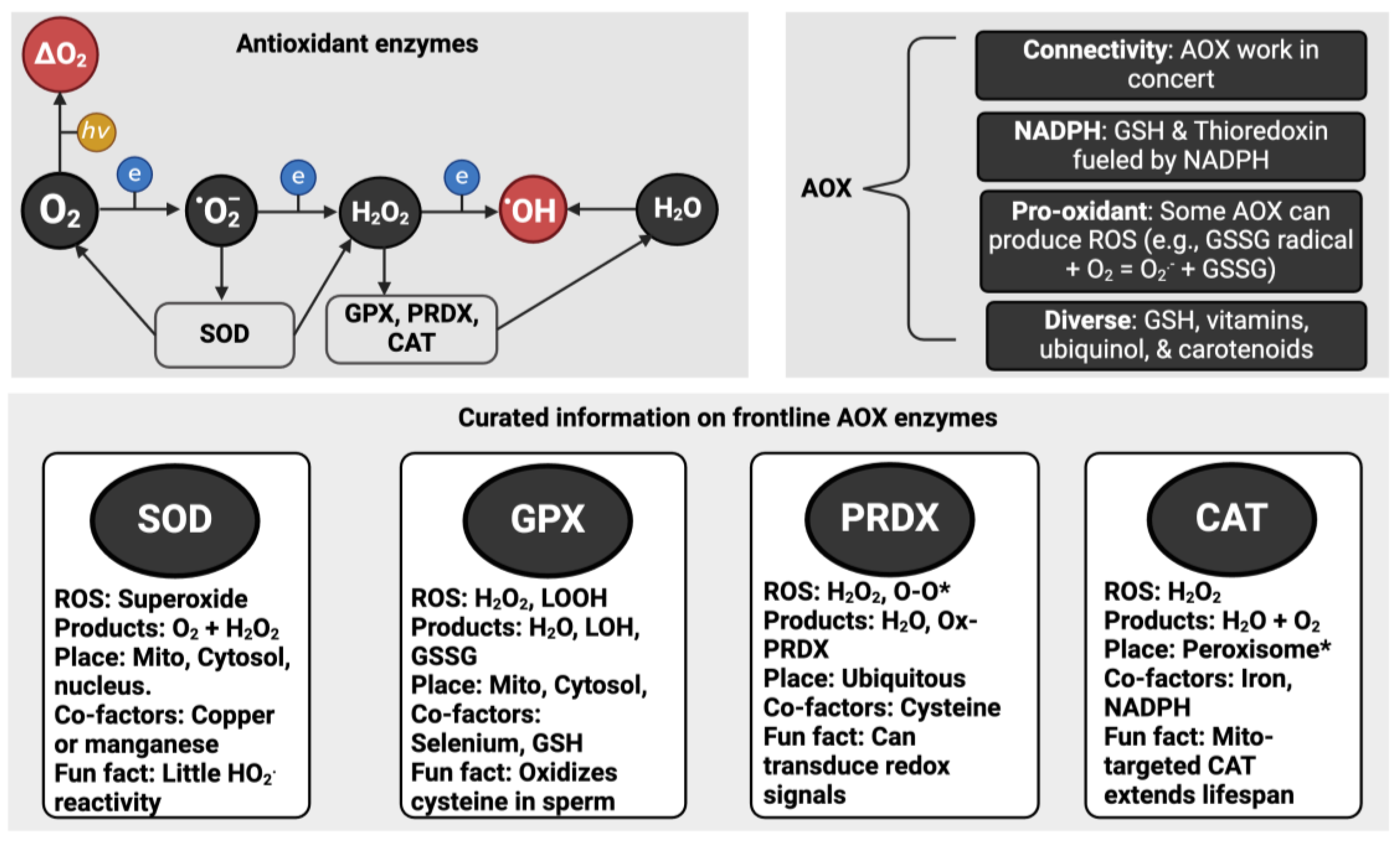 Preprints 106099 g002