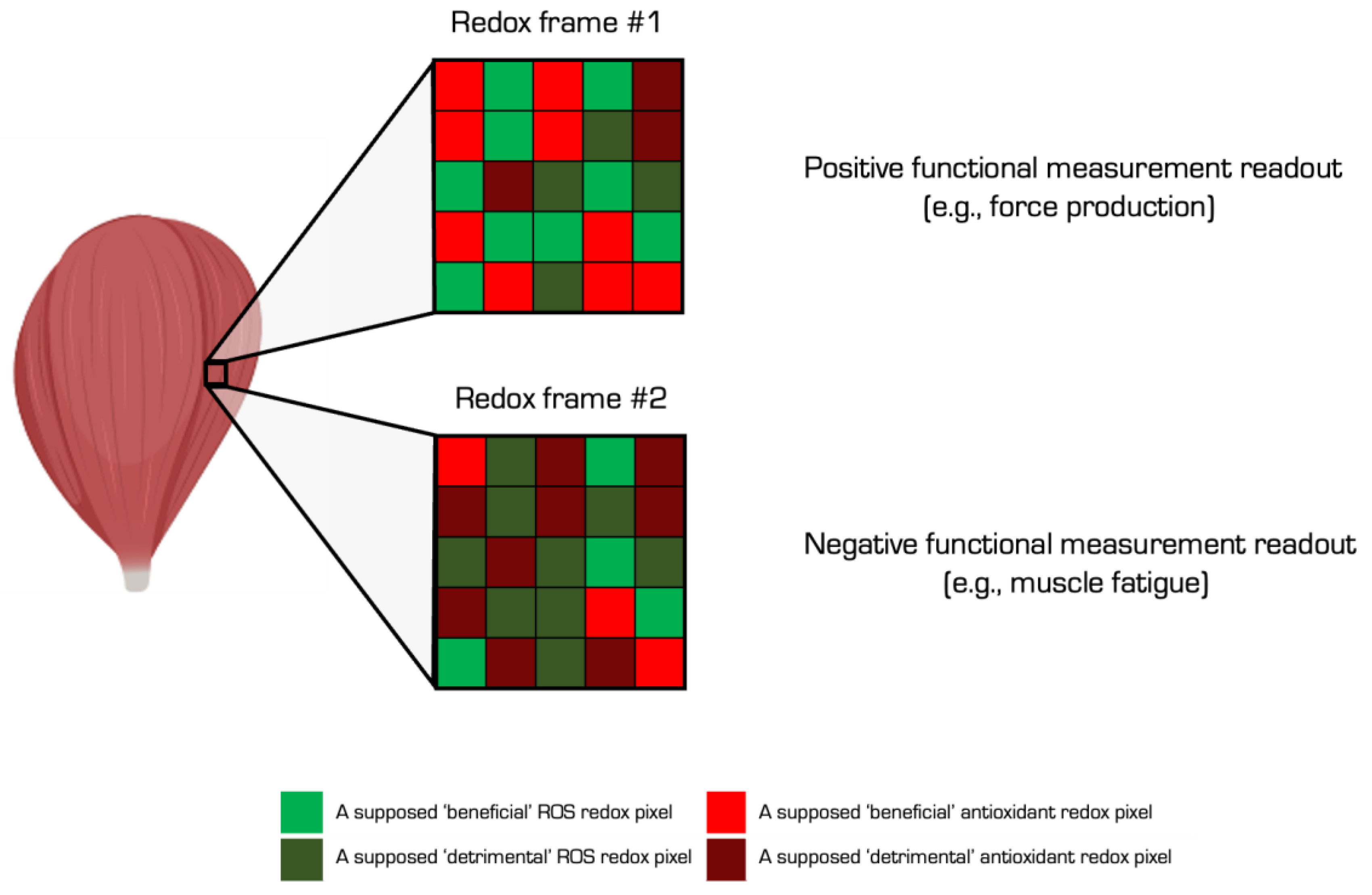 Preprints 106099 g003