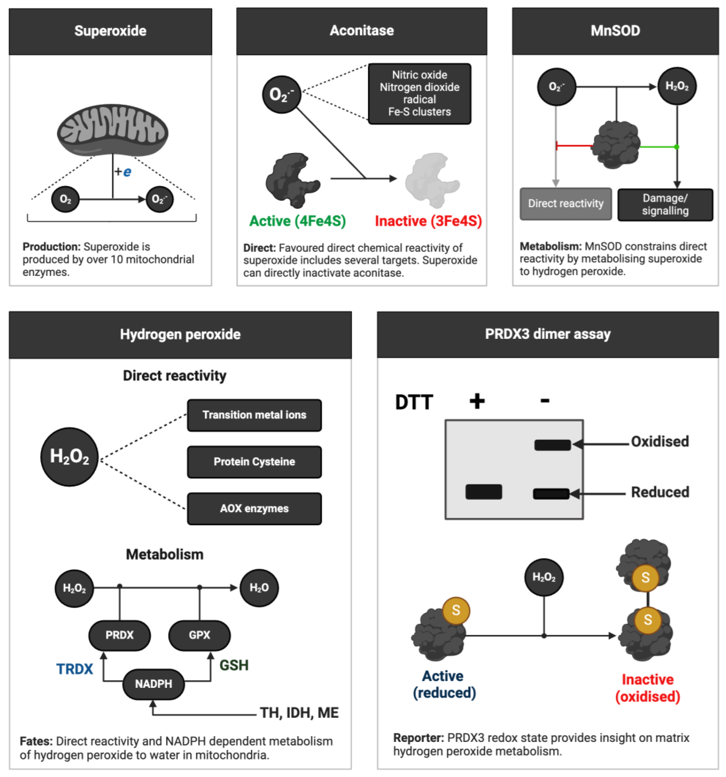 Preprints 106099 g004