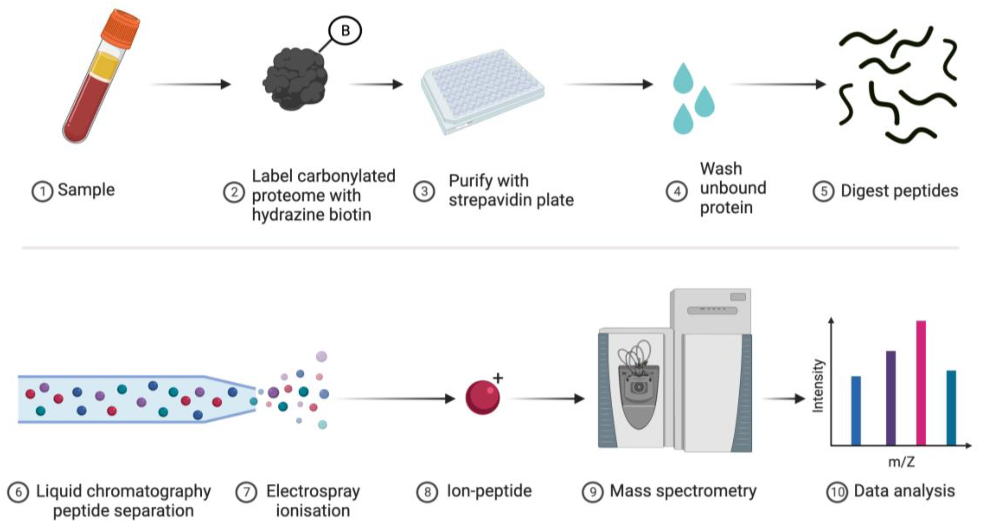 Preprints 106099 g006