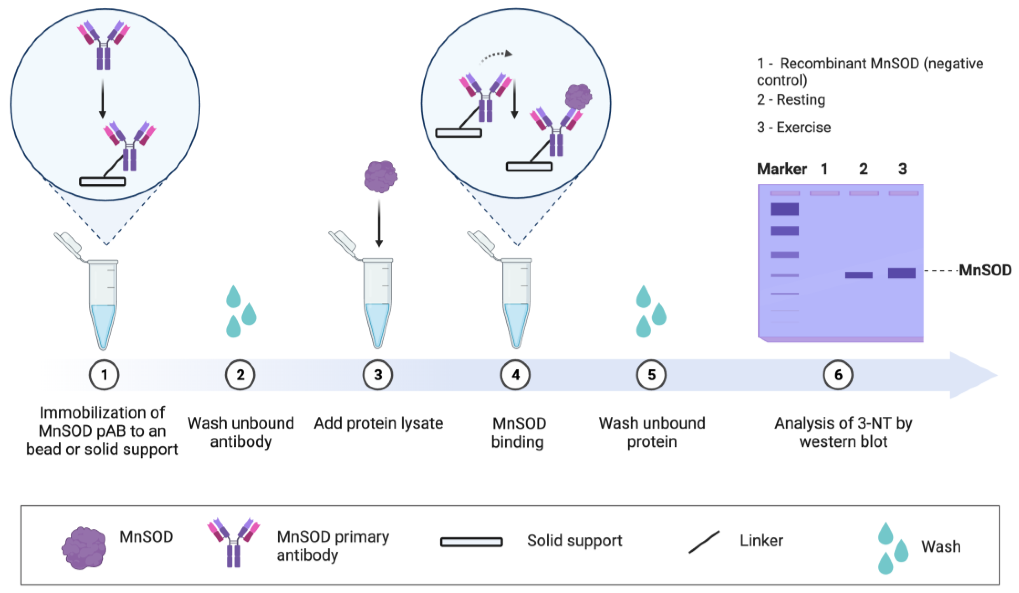 Preprints 106099 g007