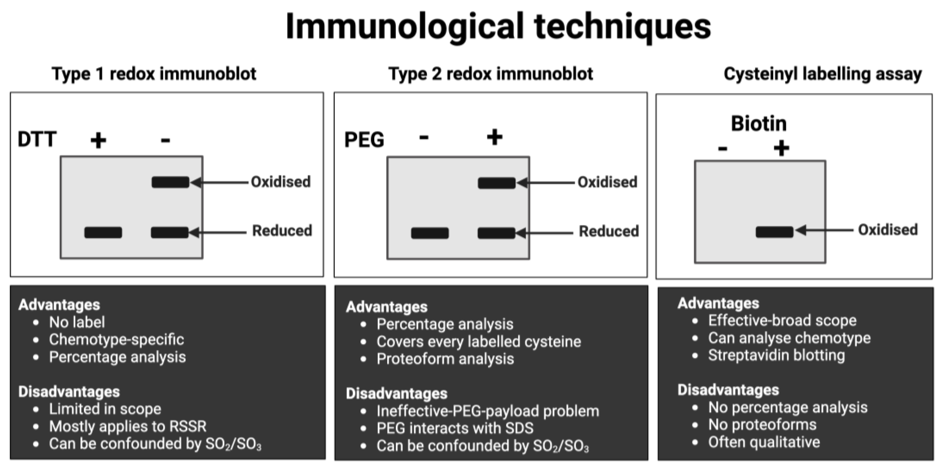 Preprints 106099 g008