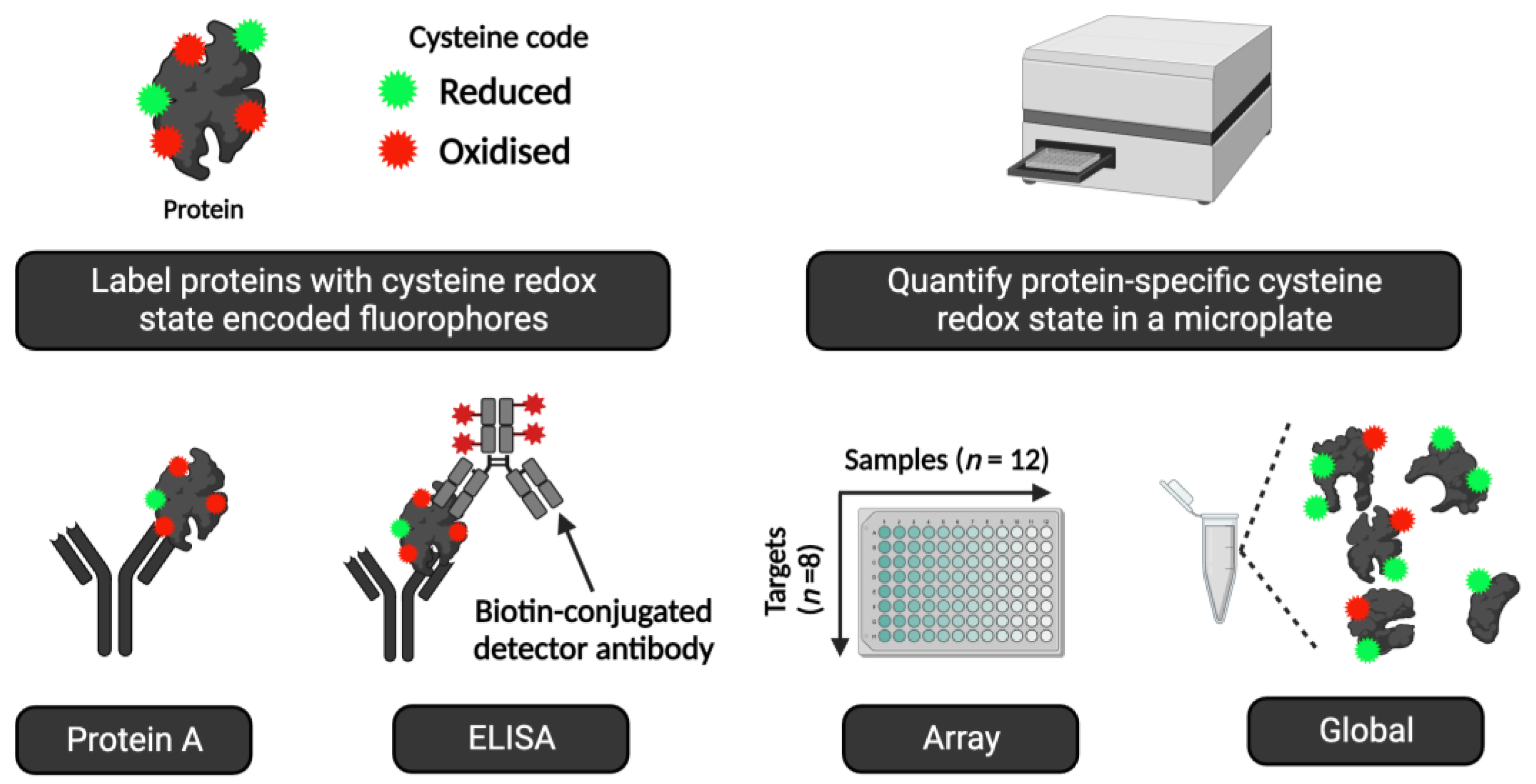 Preprints 106099 g009