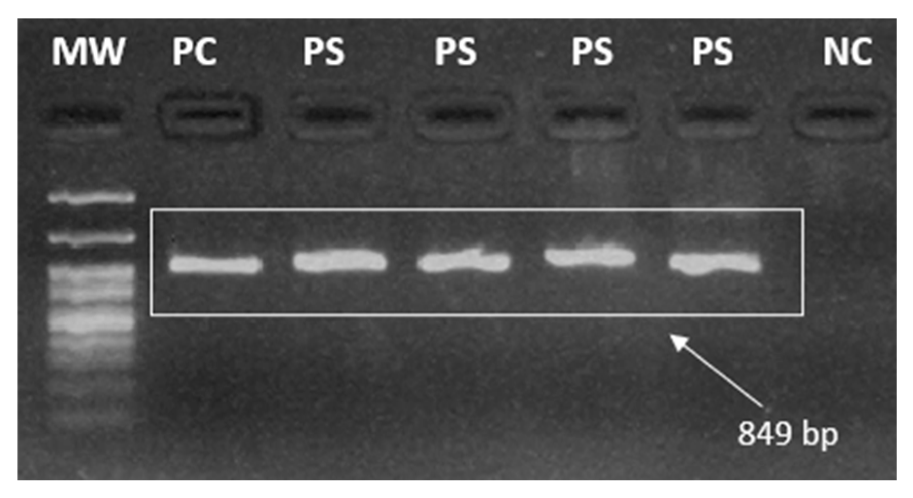 Preprints 104989 g003