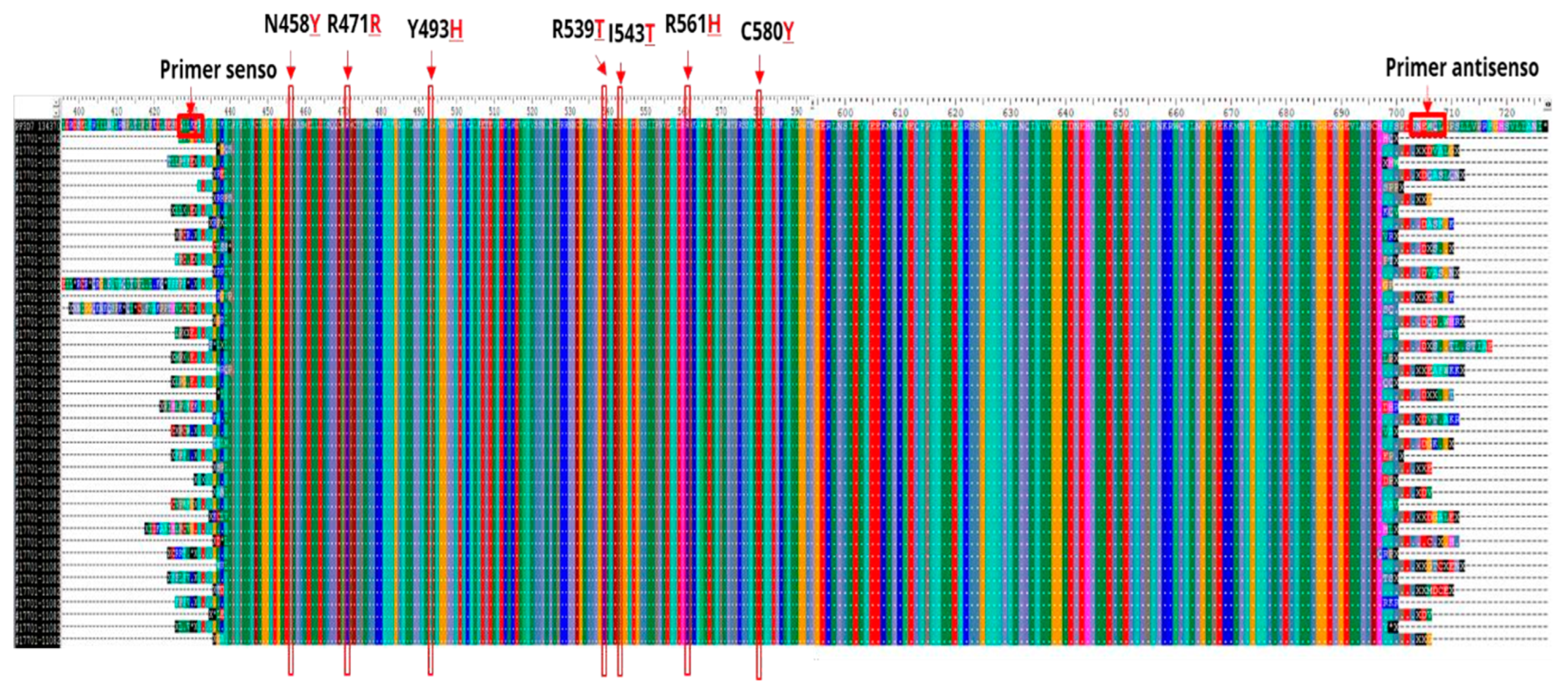 Preprints 104989 g005