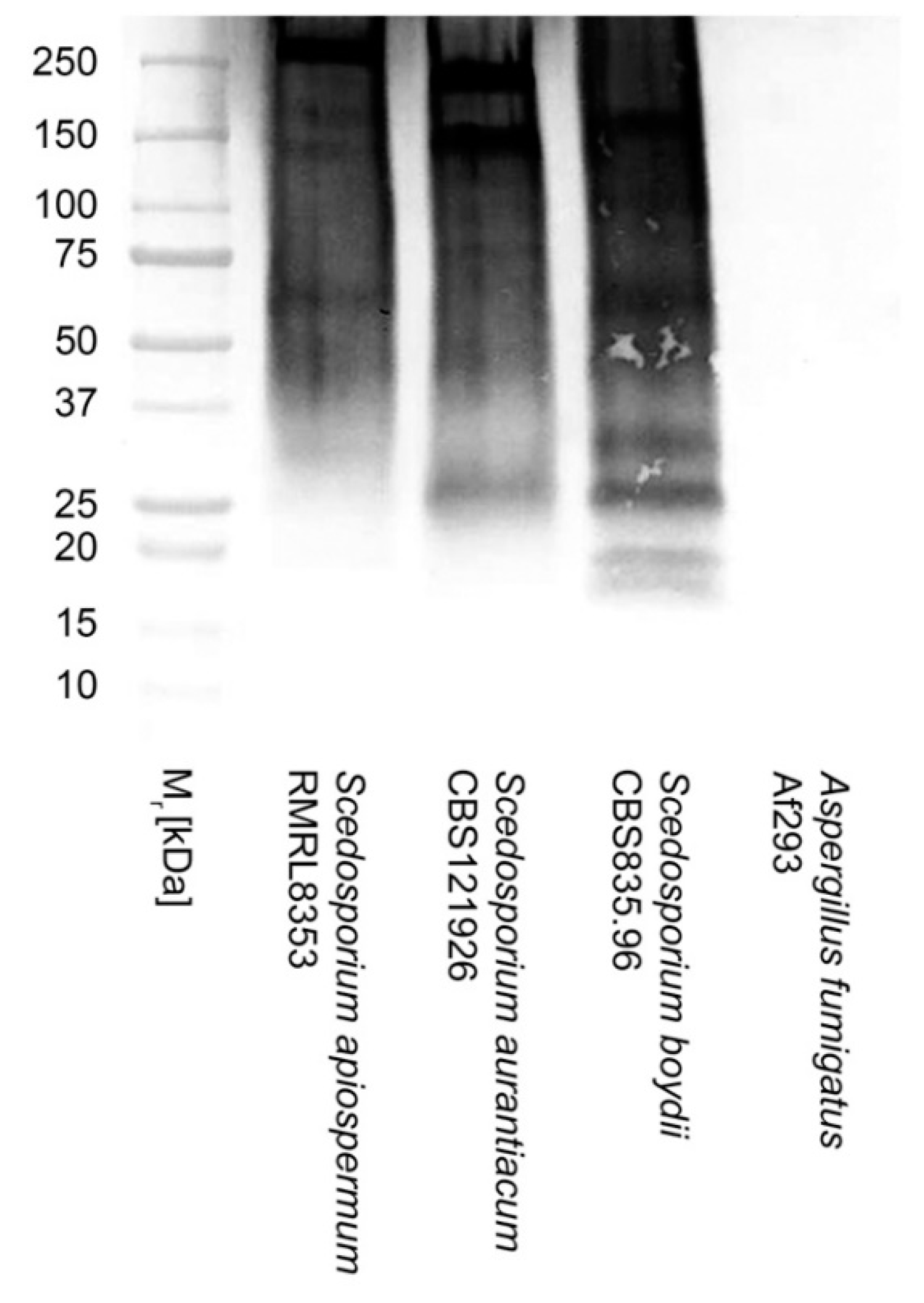 Preprints 102457 g002