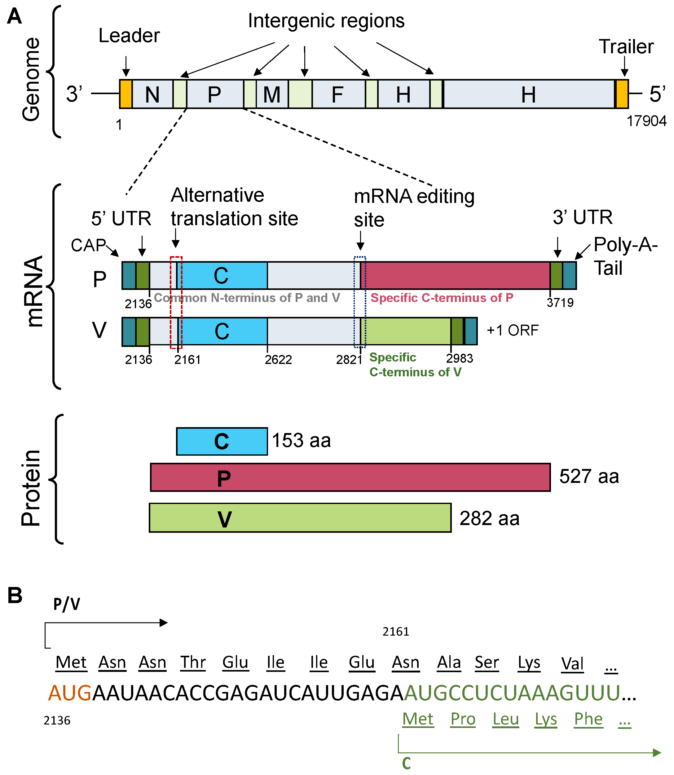 Preprints 67309 g001