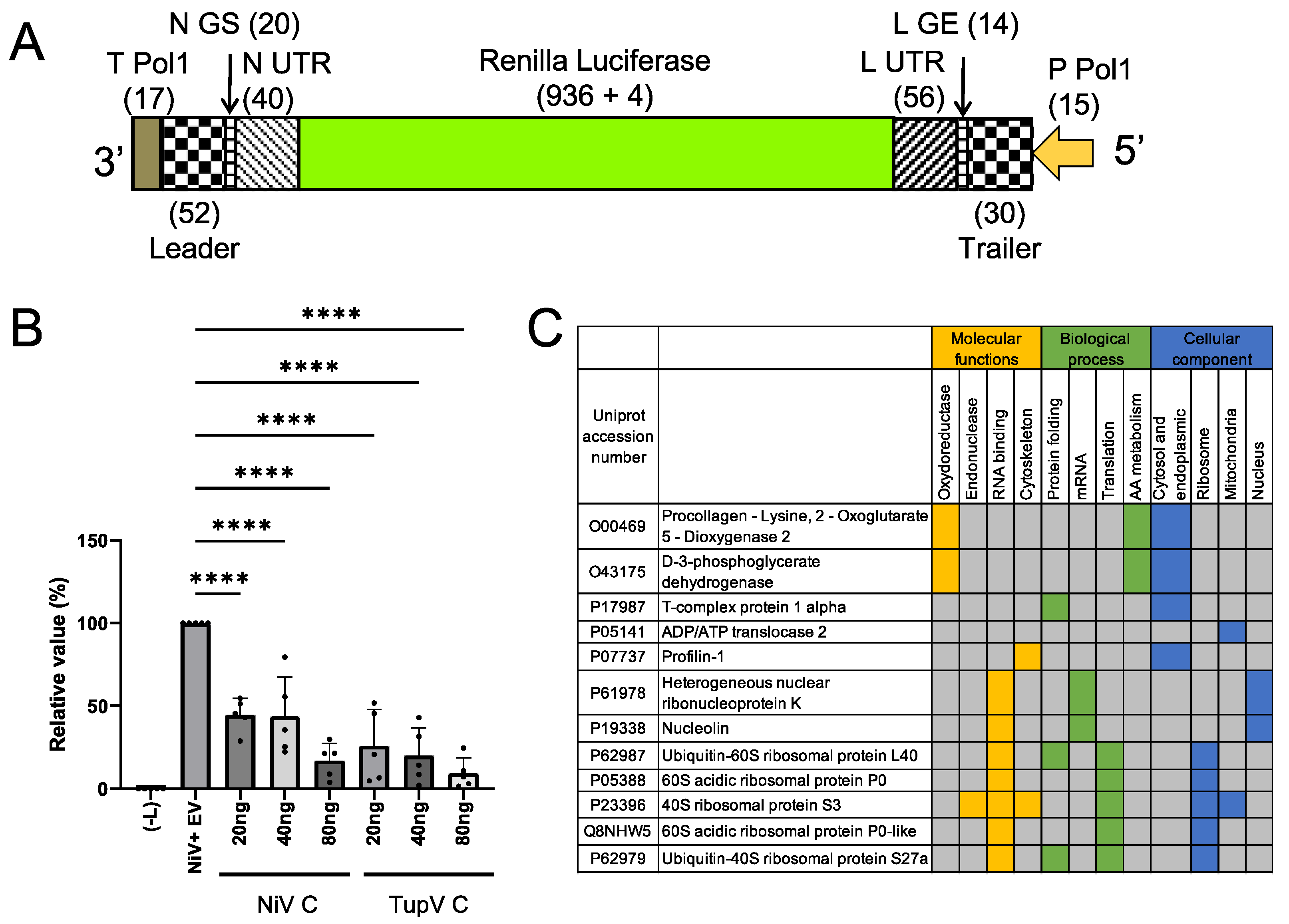 Preprints 67309 g010