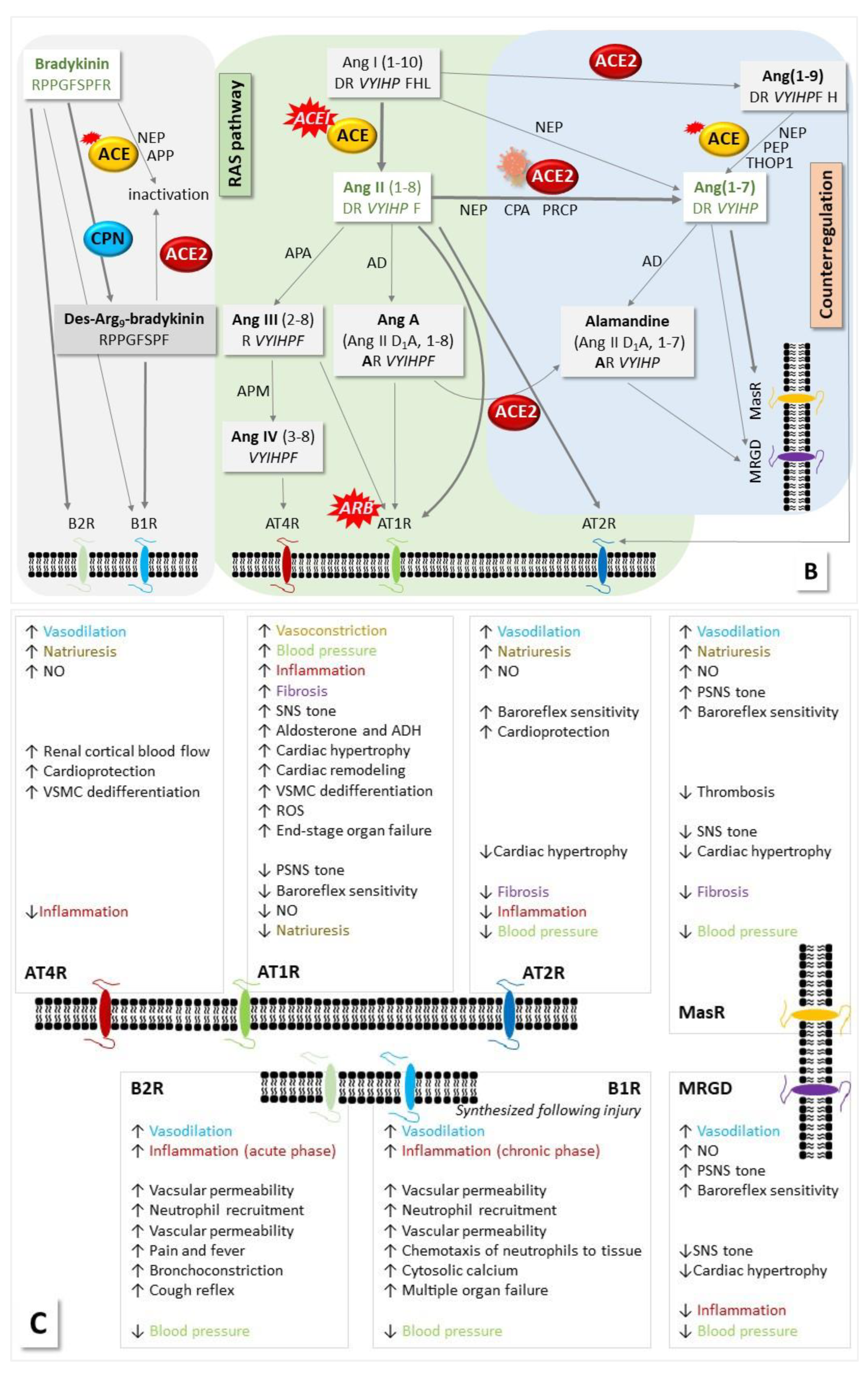 Preprints 73932 g001b