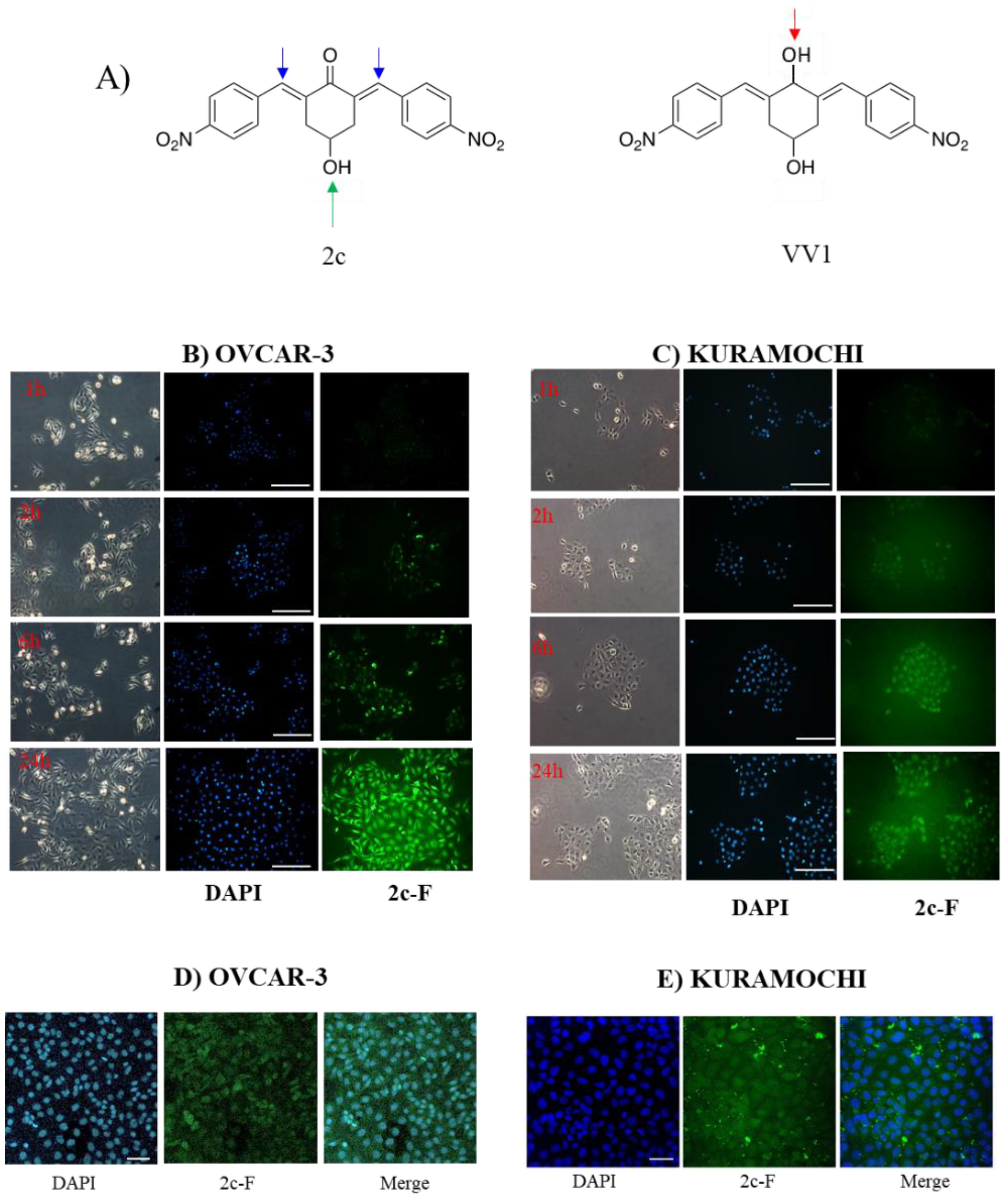 Preprints 104362 g001