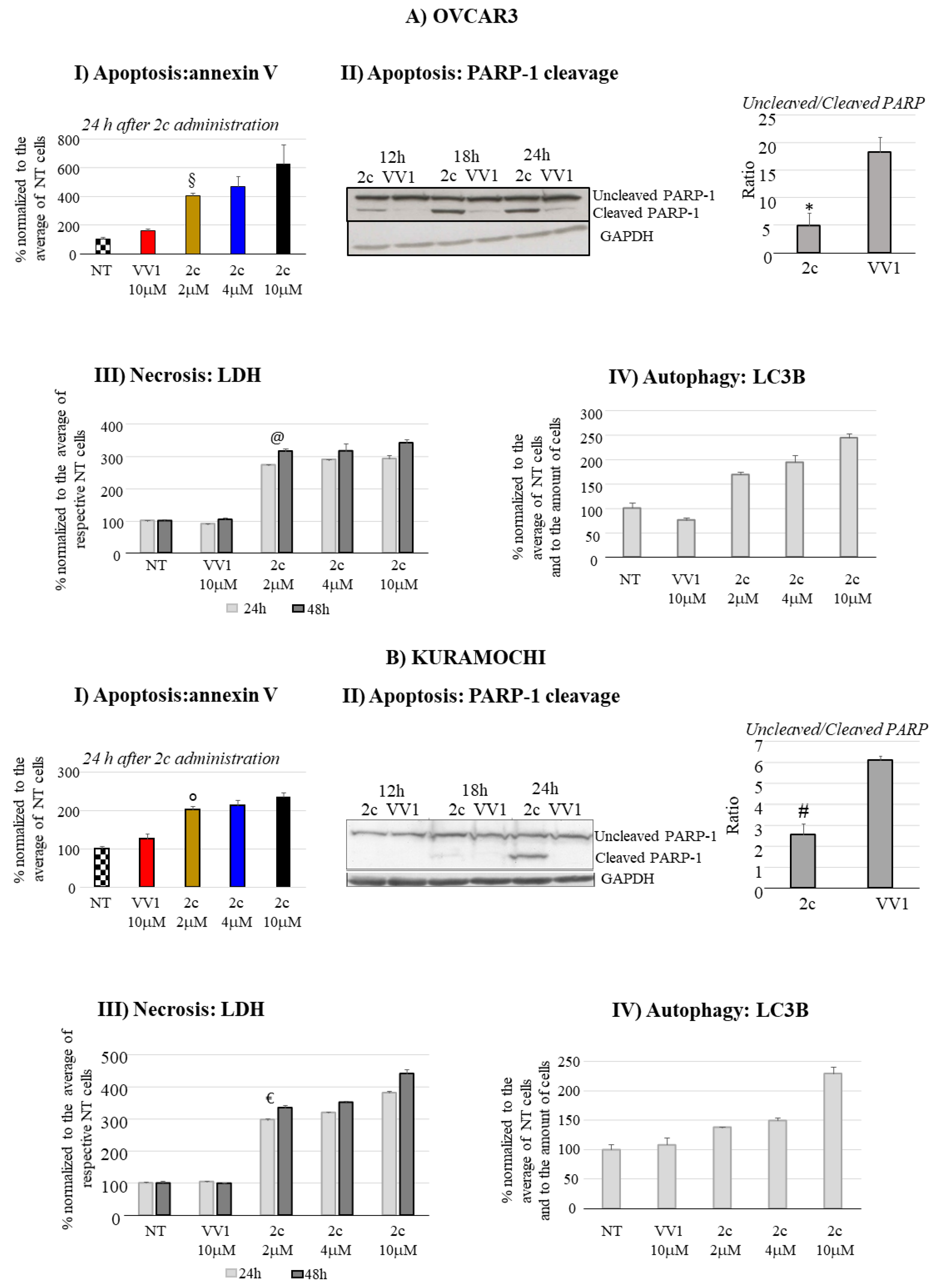 Preprints 104362 g003