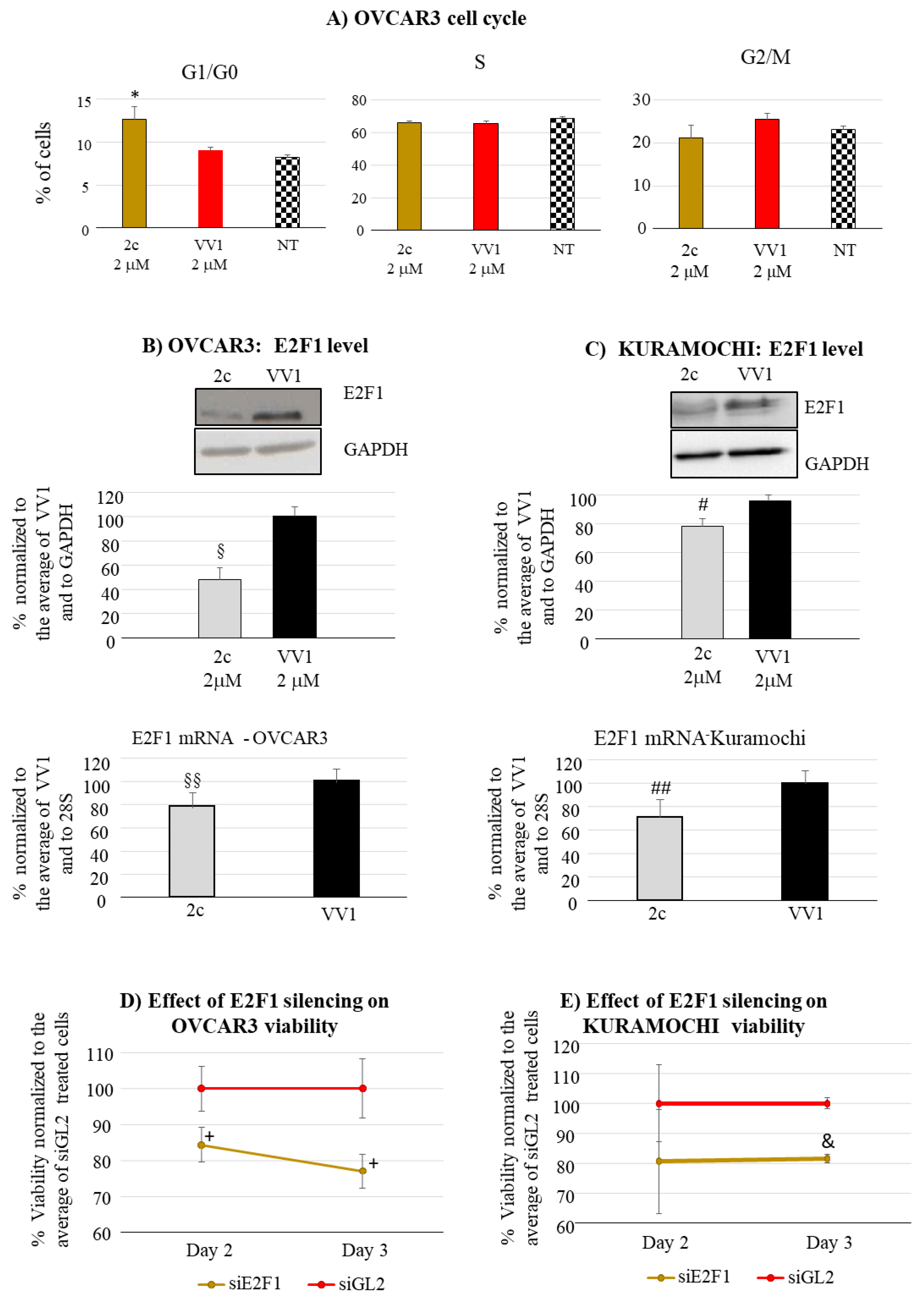 Preprints 104362 g004