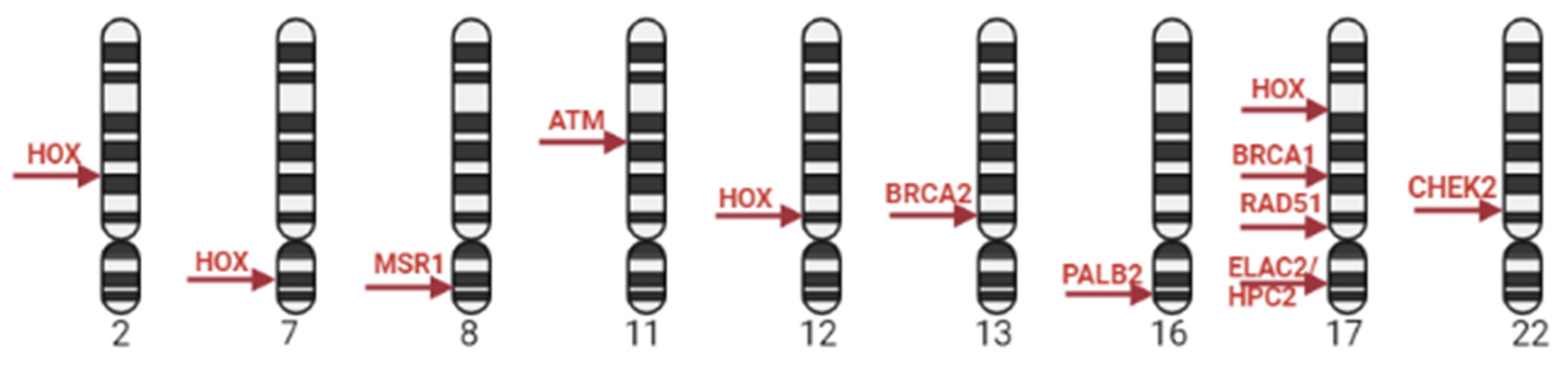 Preprints 76771 g001