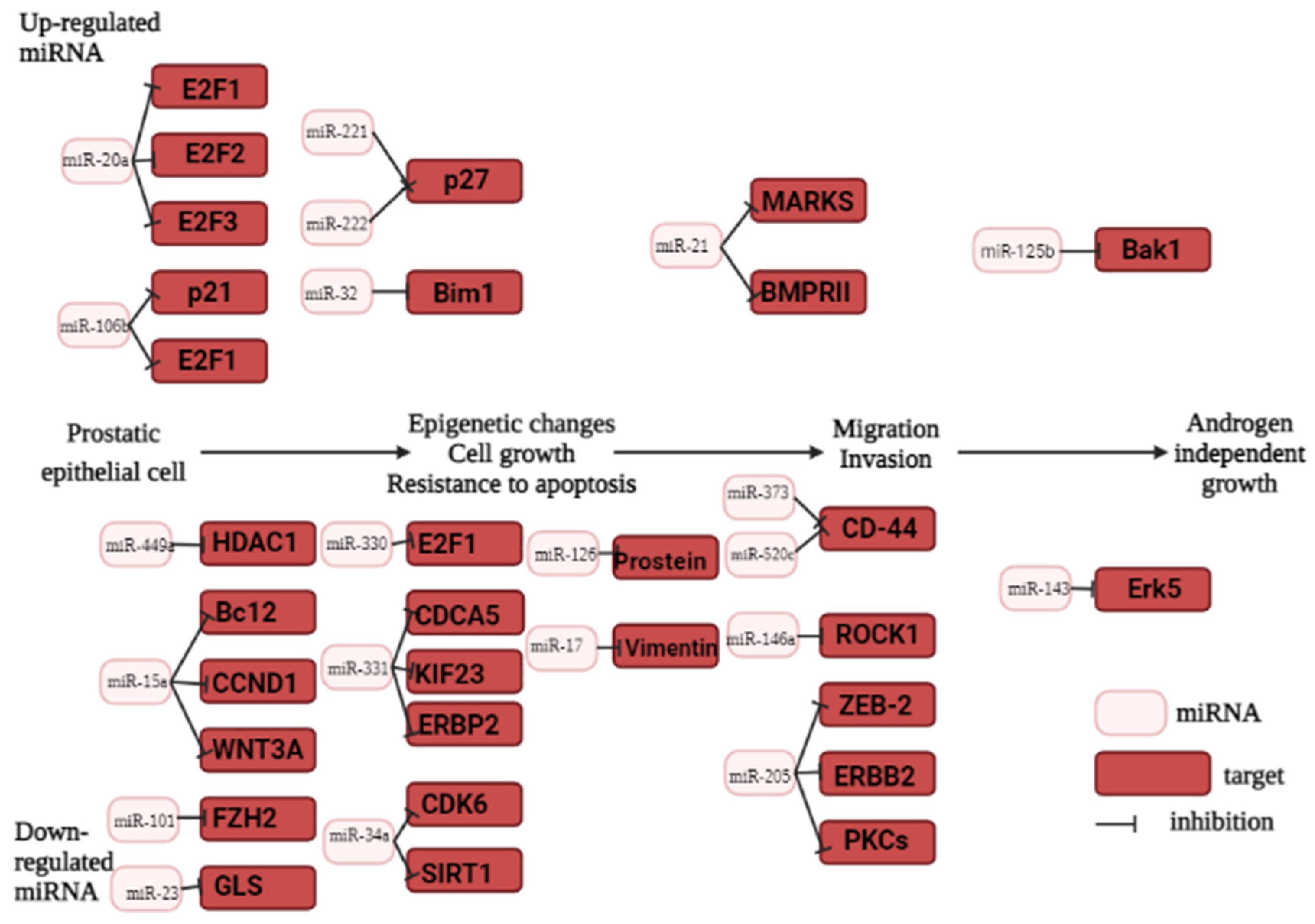 Preprints 76771 g002