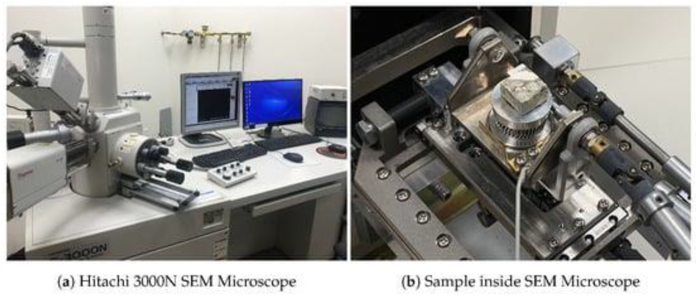 Preprints 107782 g019