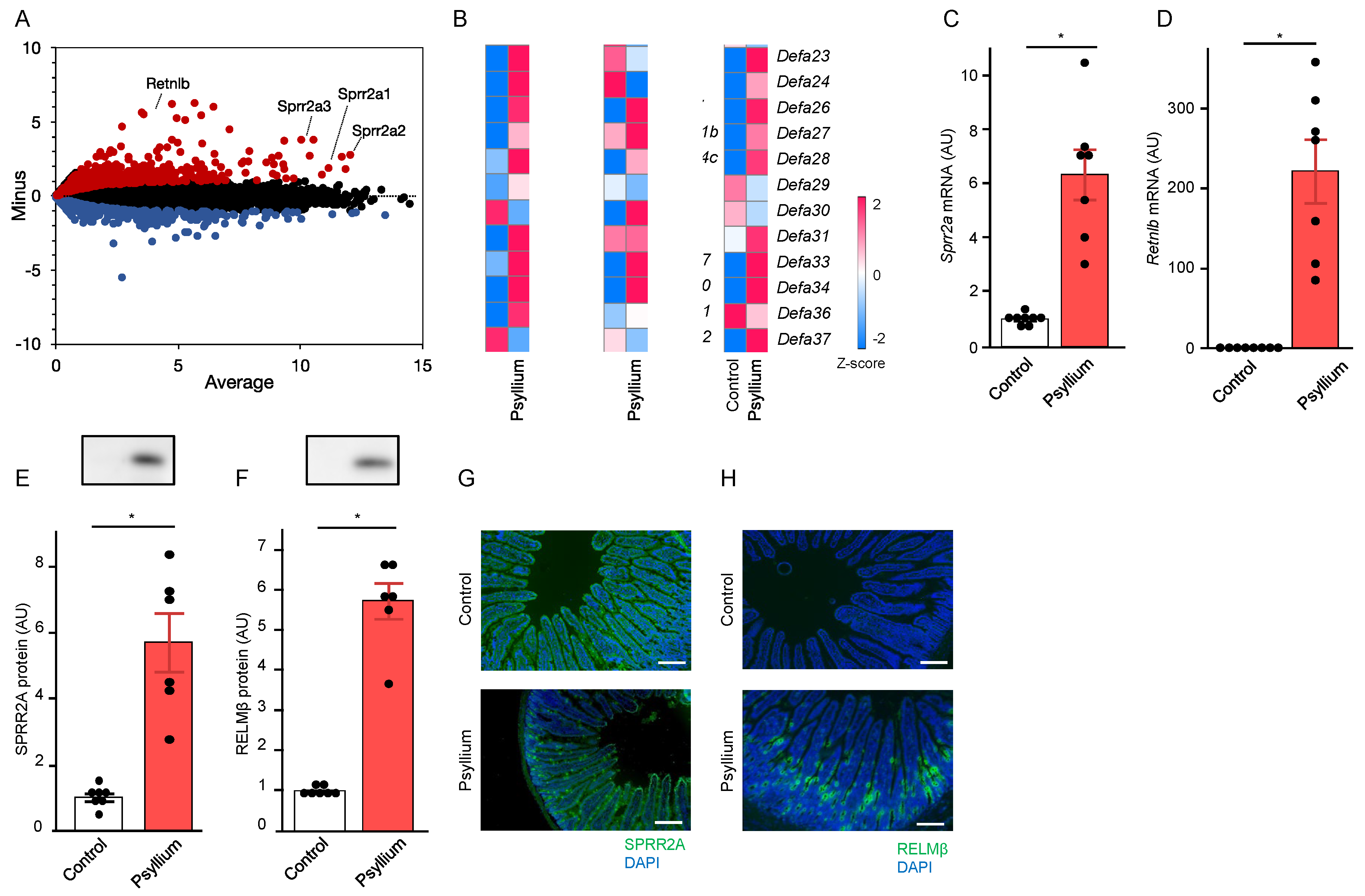 Preprints 104813 g001