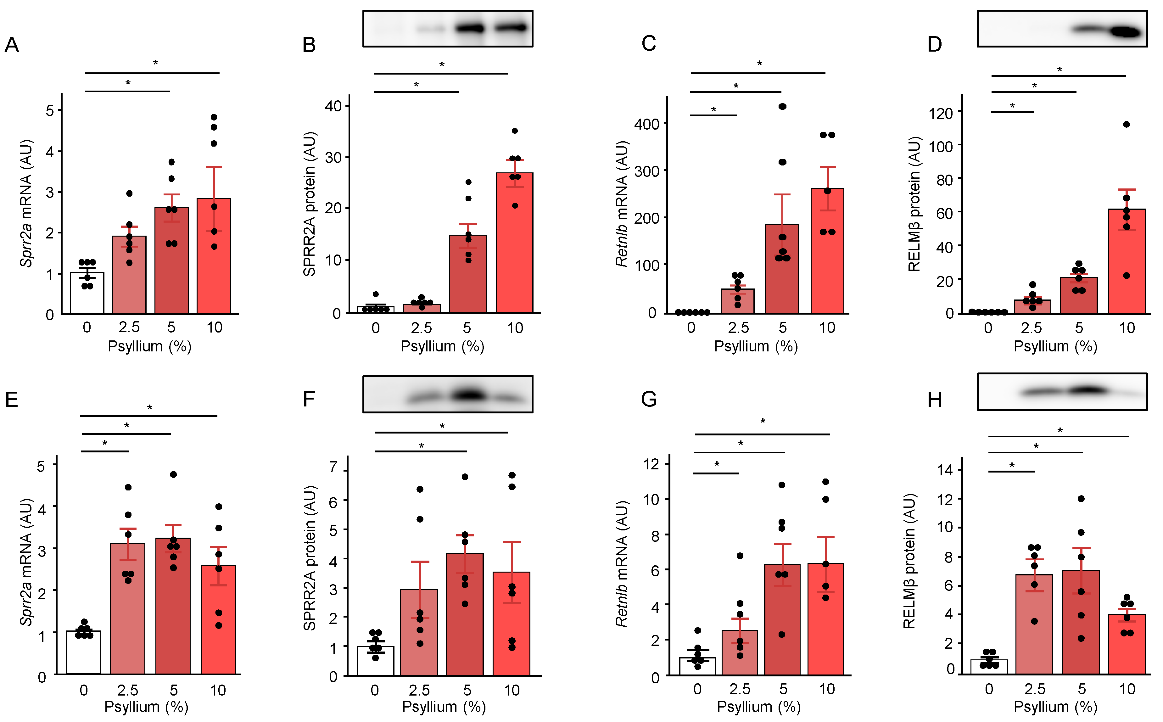 Preprints 104813 g003