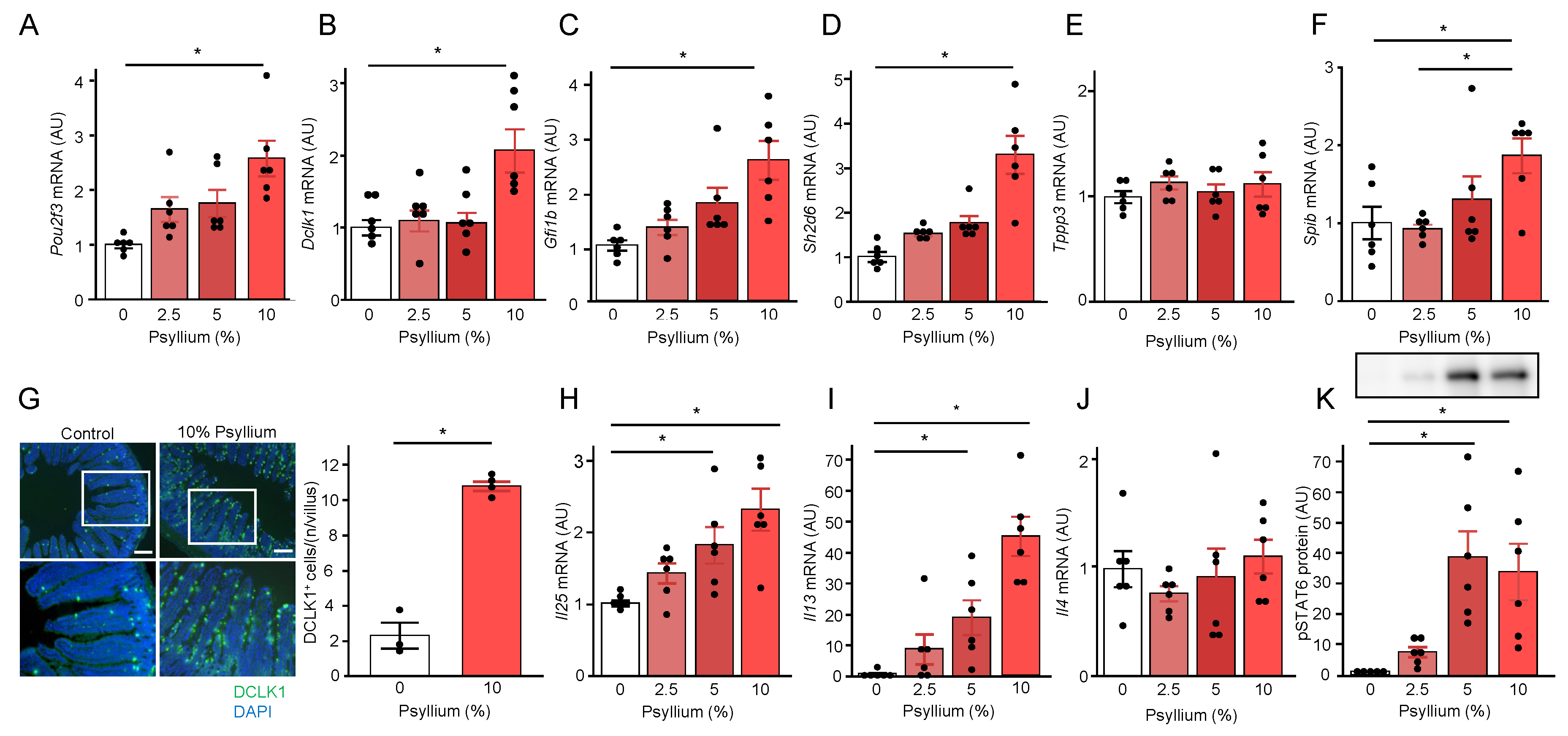 Preprints 104813 g004