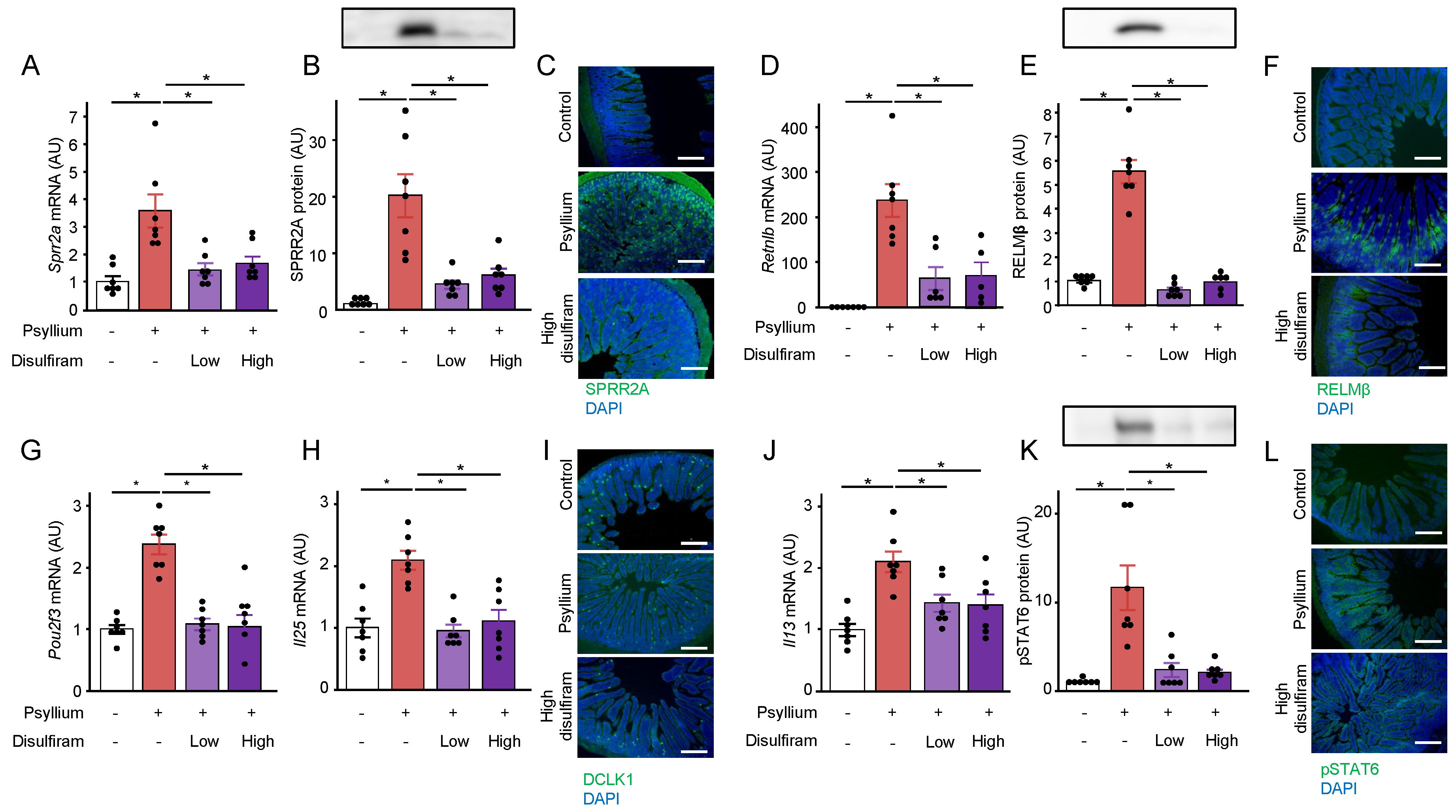 Preprints 104813 g005