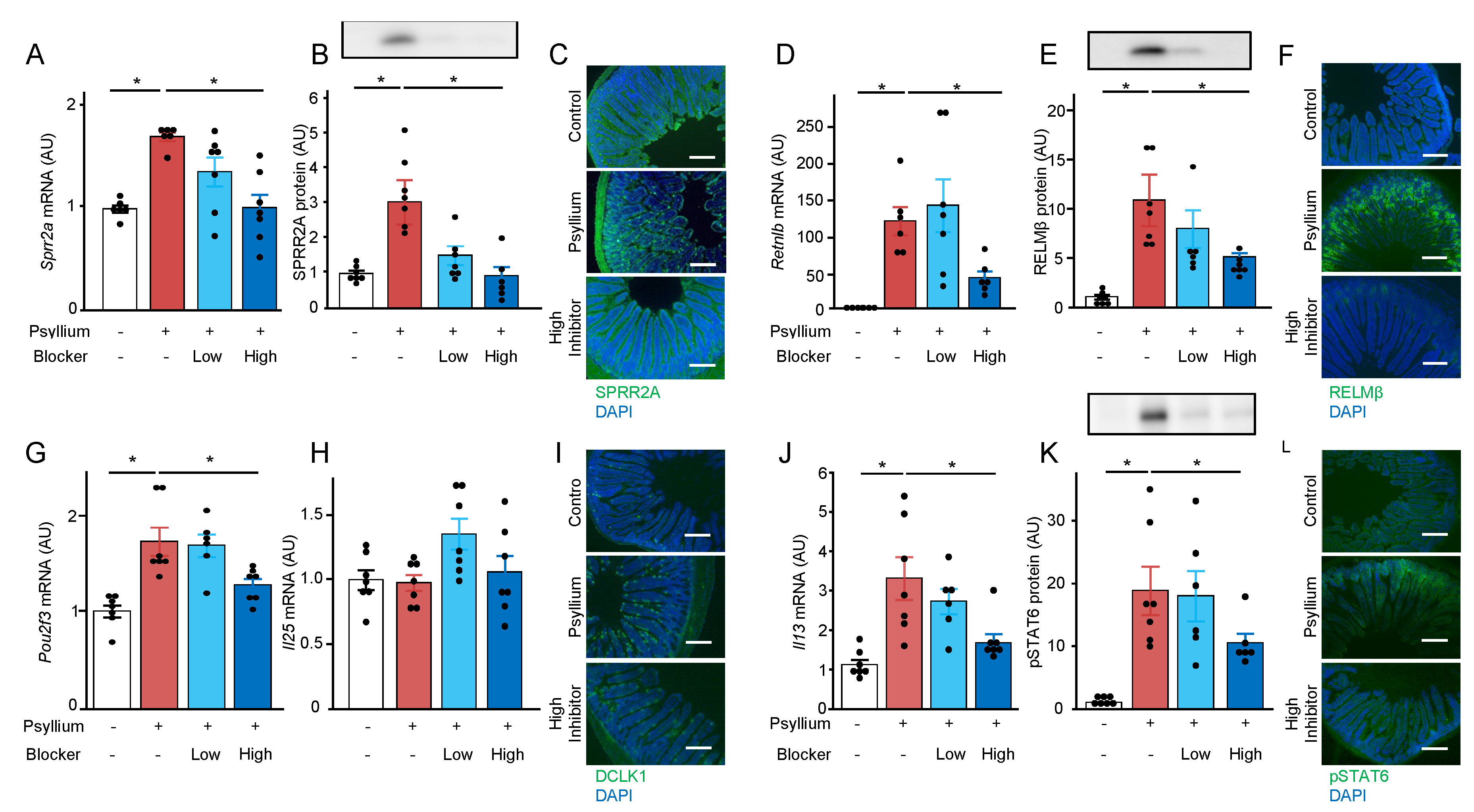 Preprints 104813 g006