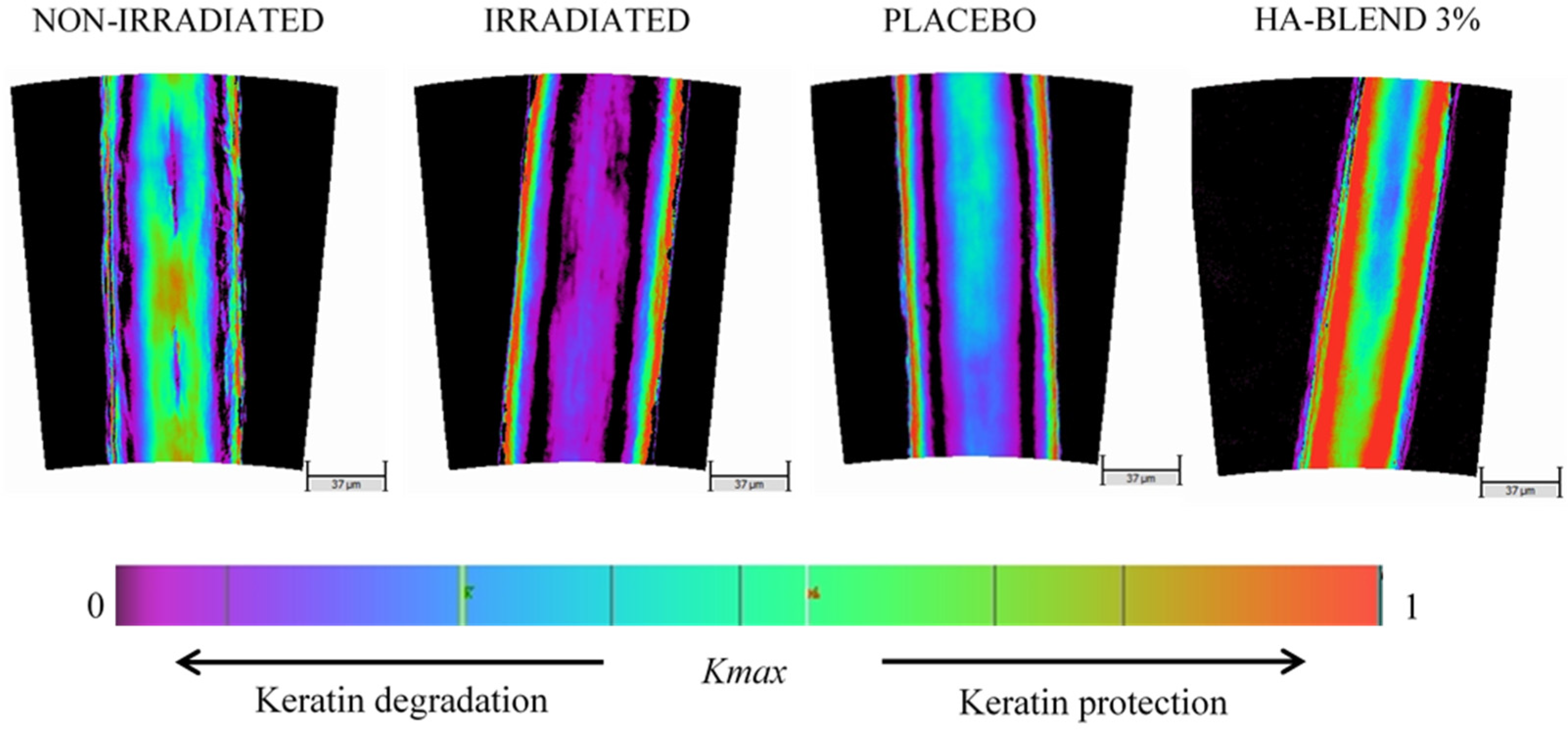 Preprints 96619 g007