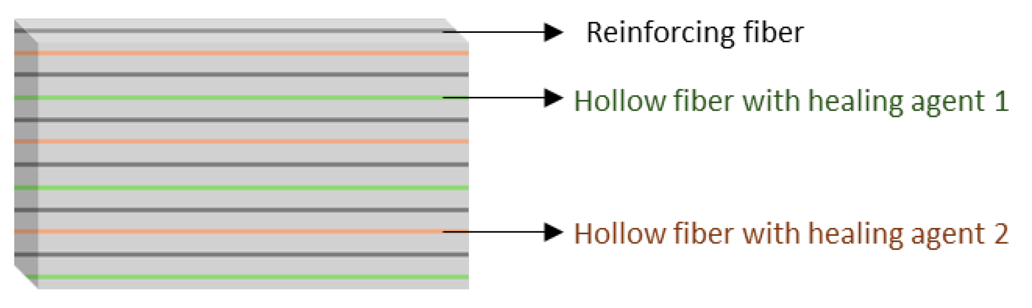 Preprints 111754 g003