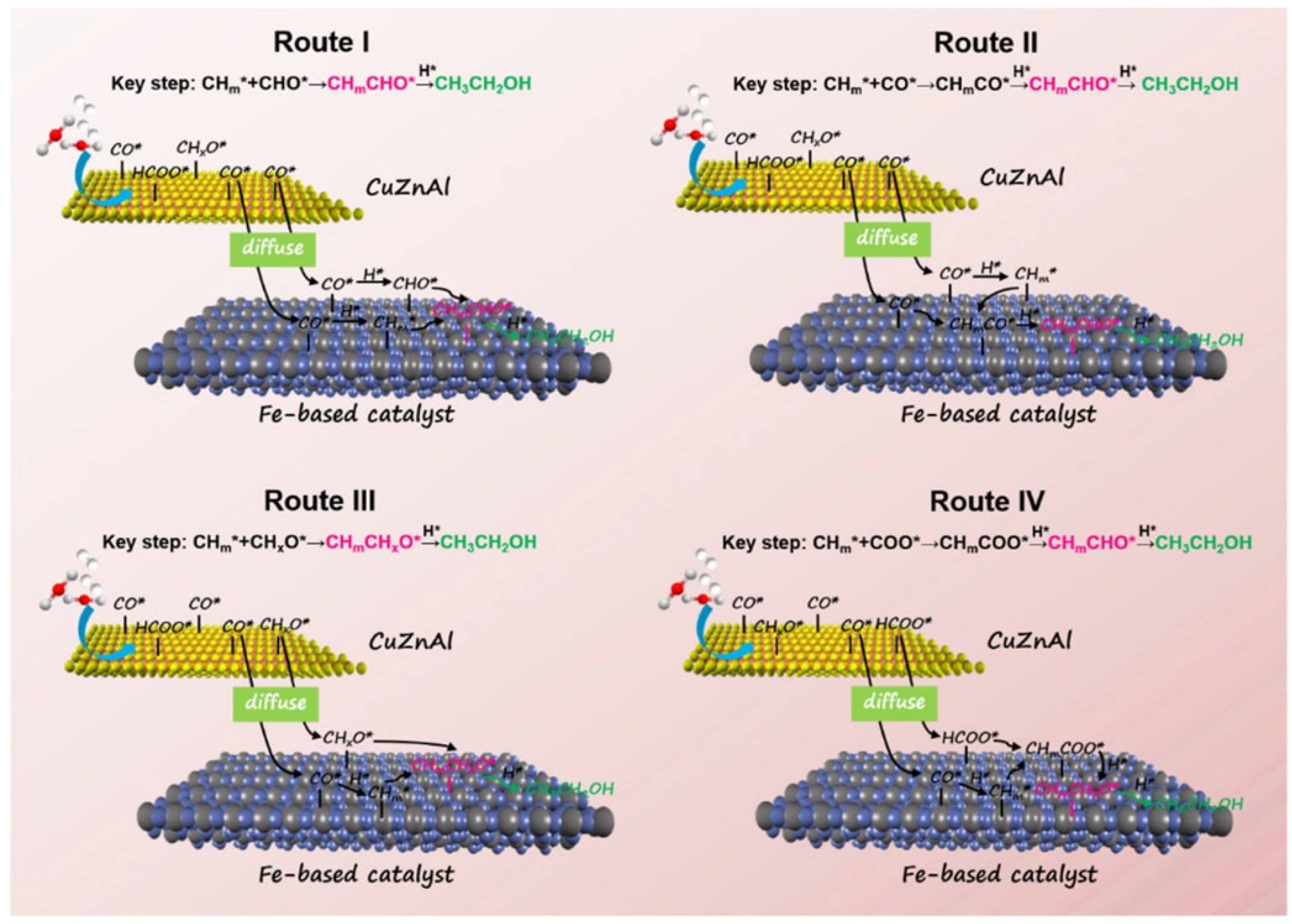 Preprints 104899 g005