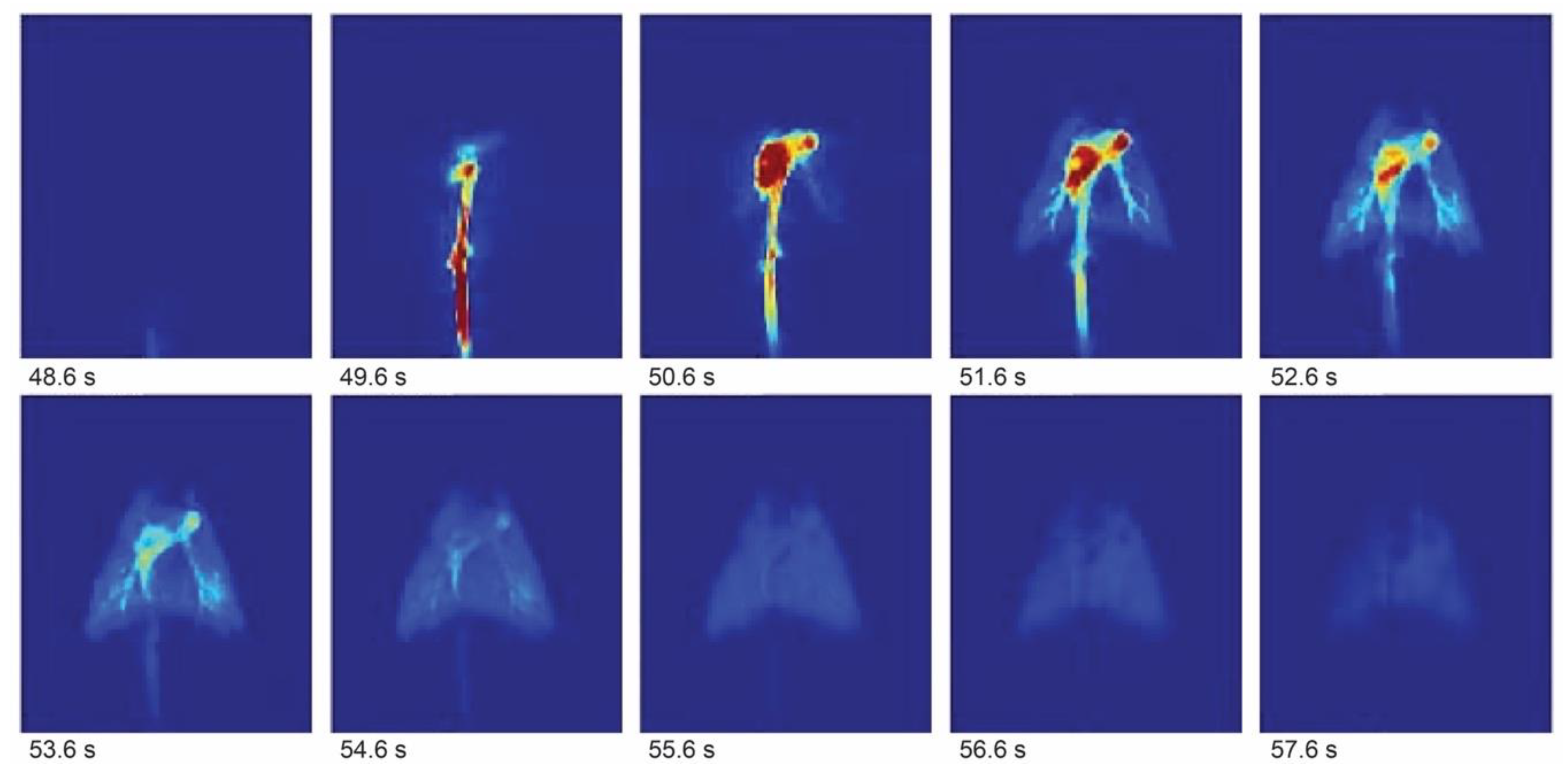 Preprints 102715 g002