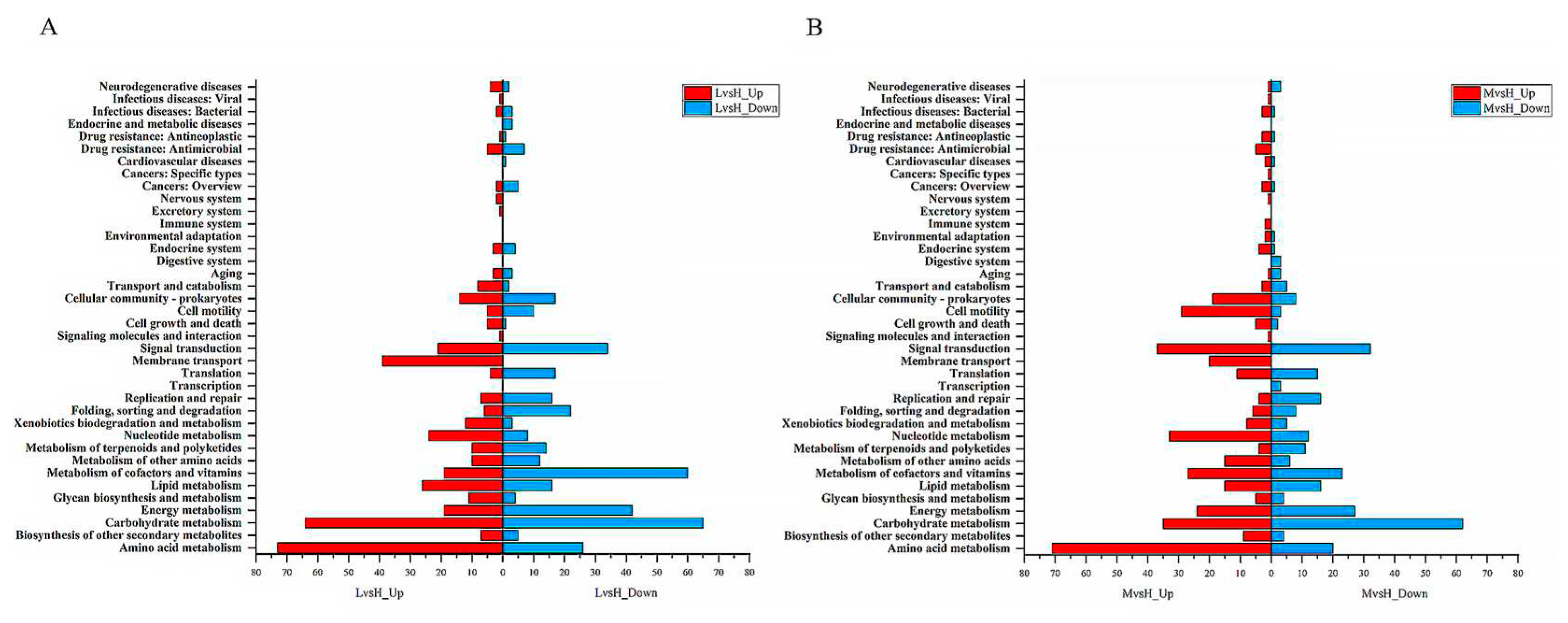 Preprints 83435 g004